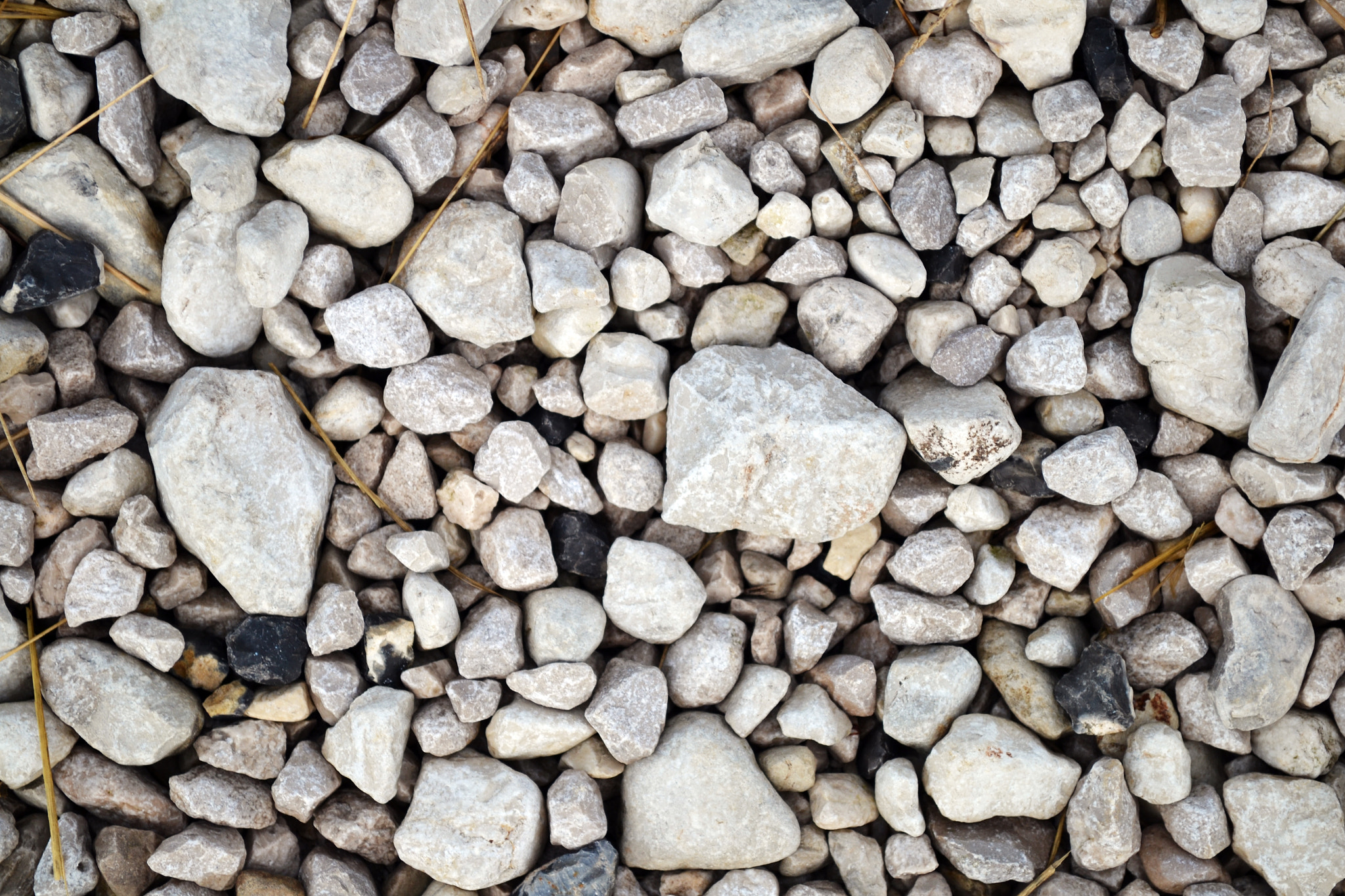 Nikon AF-S Nikkor 400mm F2.8D ED-IF II sample photo. Rocks don't roll photography