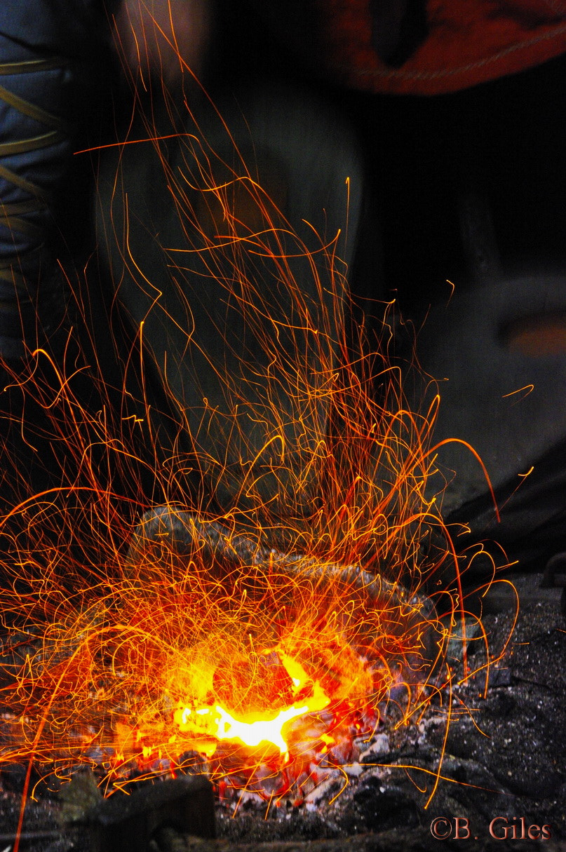 Pentax K20D sample photo. L'anse aux meadows photography