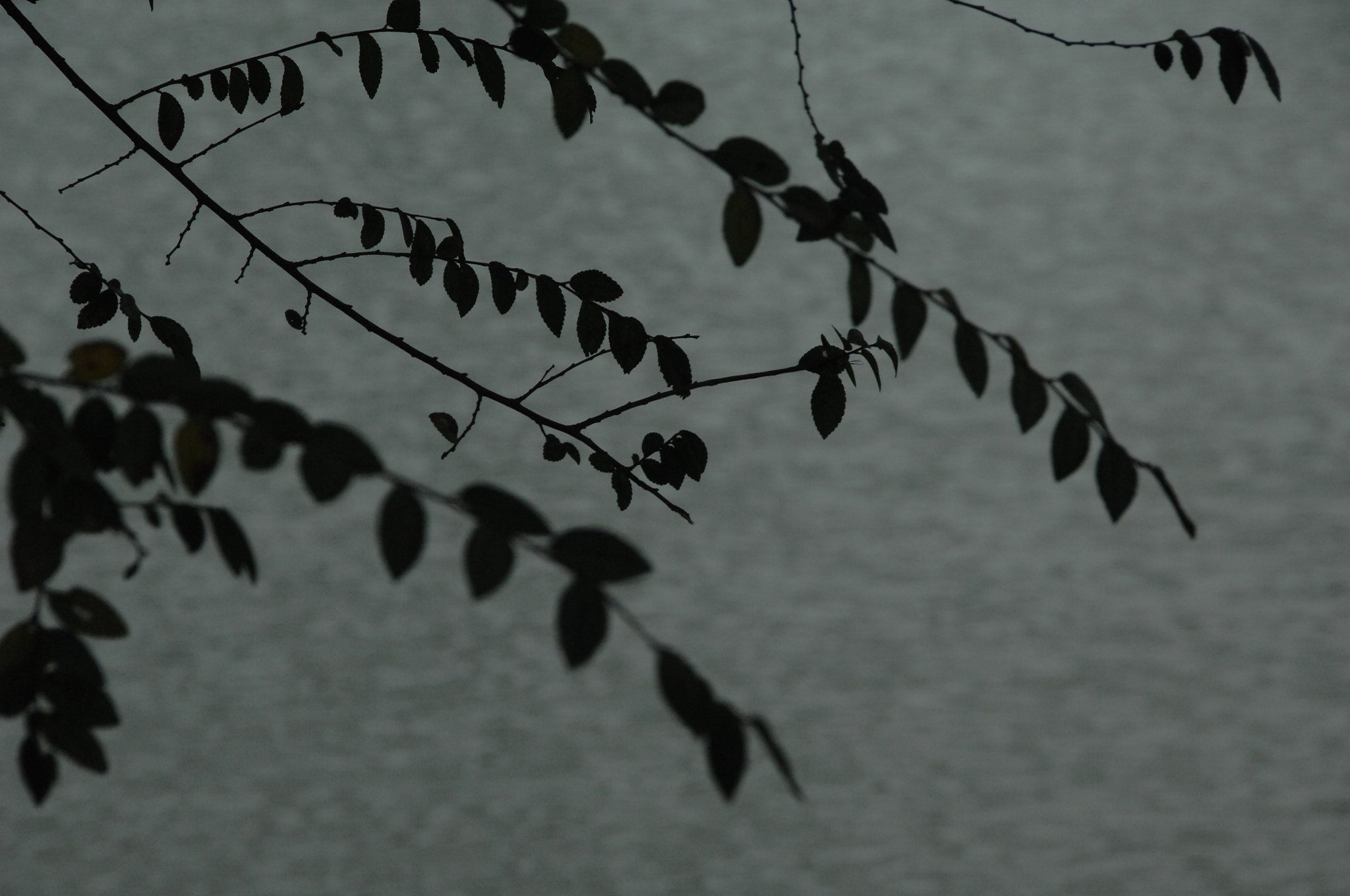 Nikon D2X sample photo. .. photography