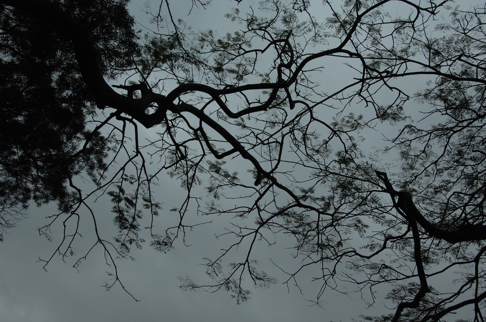 Nikon D2X sample photo. .. photography