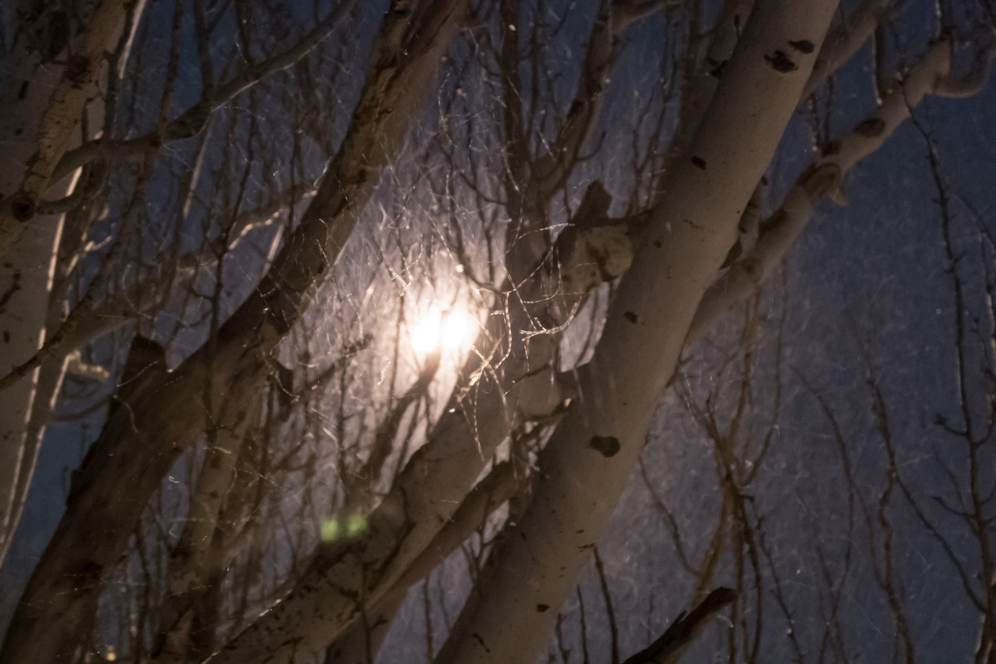 Nikon 1 Nikkor 11-27.5mm F3.5-5.6 sample photo. Street, lamp, snow photography