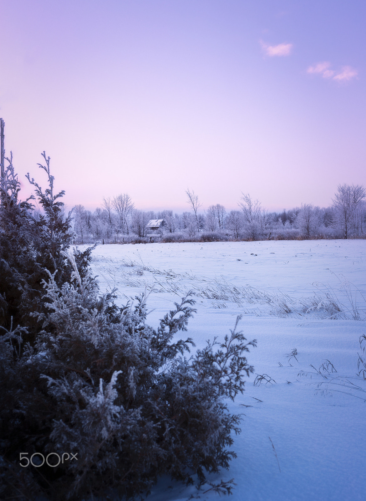 Tamron SP 45mm F1.8 Di VC USD sample photo. Baby, it's cold outside photography