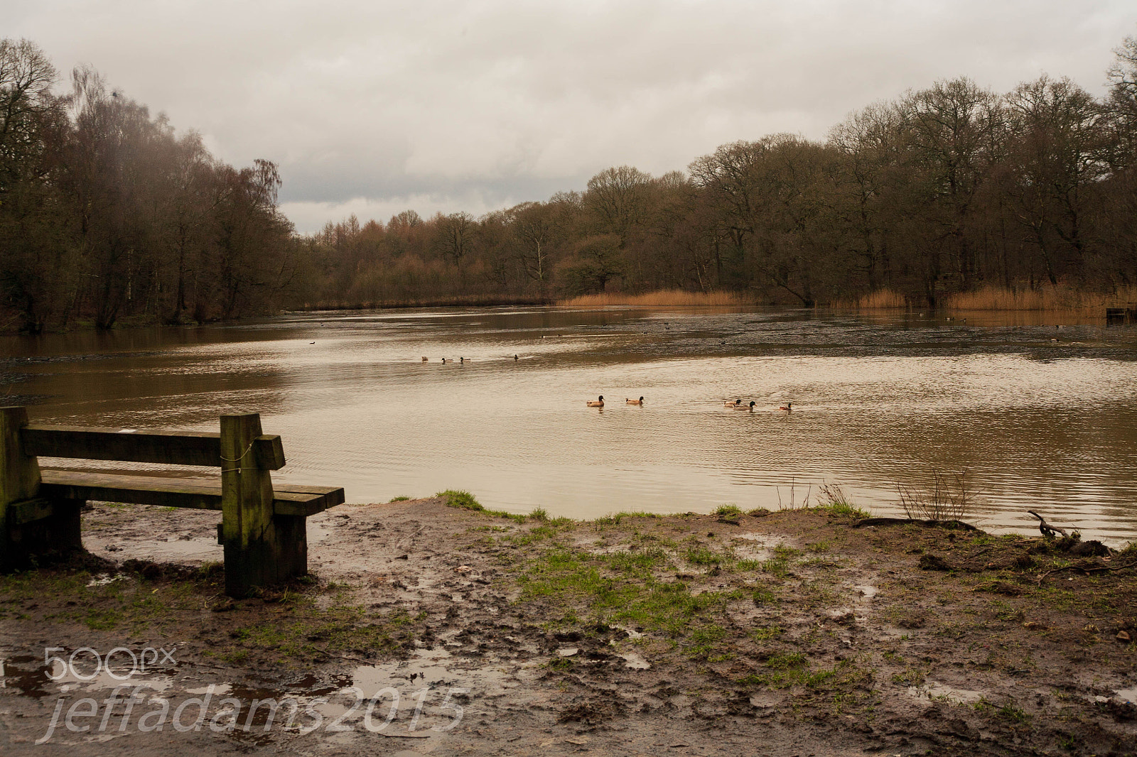 Canon EF 35-135mm f/4-5.6 USM sample photo. Rainy days photography
