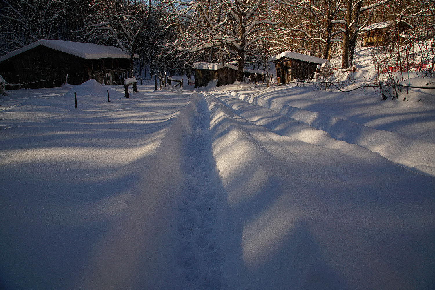 24-105mm F4 G SSM OSS sample photo. Tracks in the snow photography