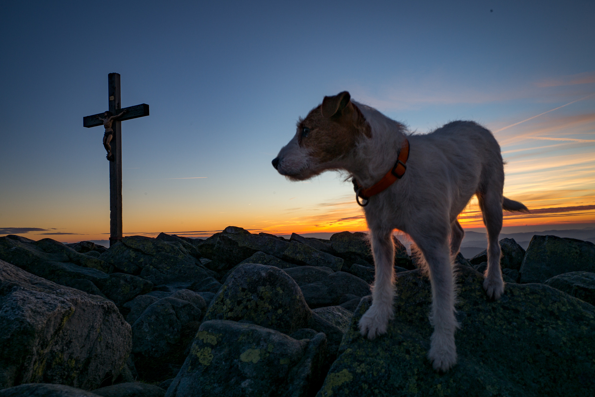 Elmarit-M 1:2.8/21 sample photo. Merlin at the summit photography