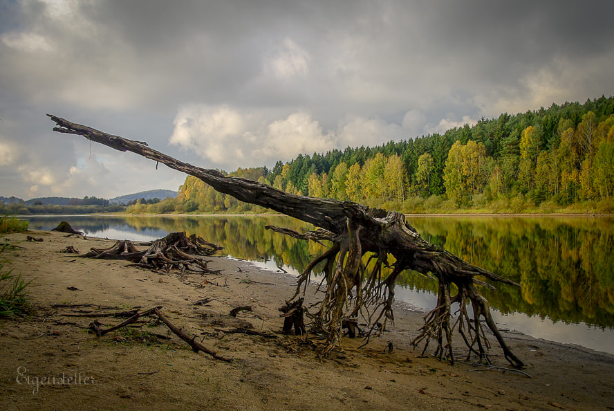 Pentax K10D + Sigma AF 10-20mm F4-5.6 EX DC sample photo. Thyranosaurus wurz photography