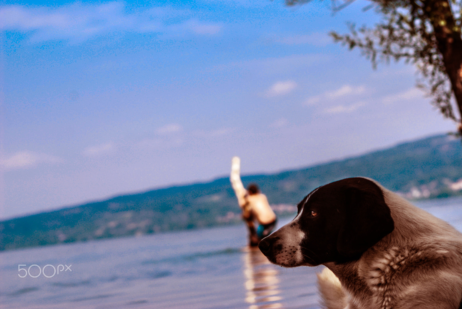 Nikon D40X sample photo. Waiting photography