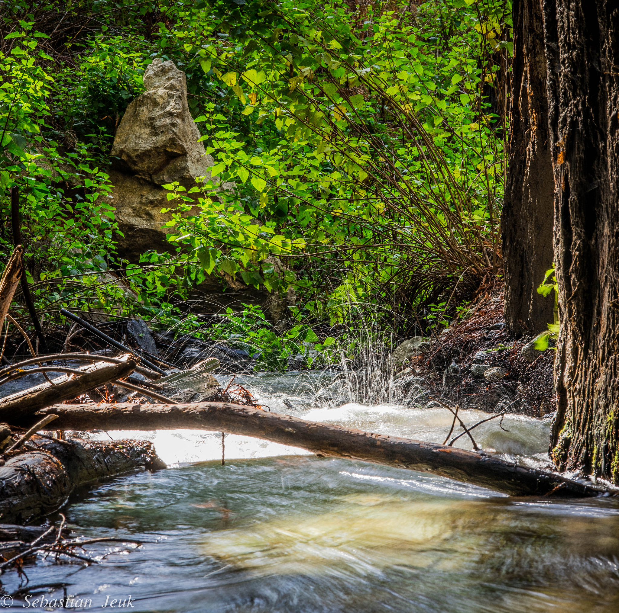 ZEISS Milvus 100mm F2 Macro sample photo. Big sur january 2016 photography