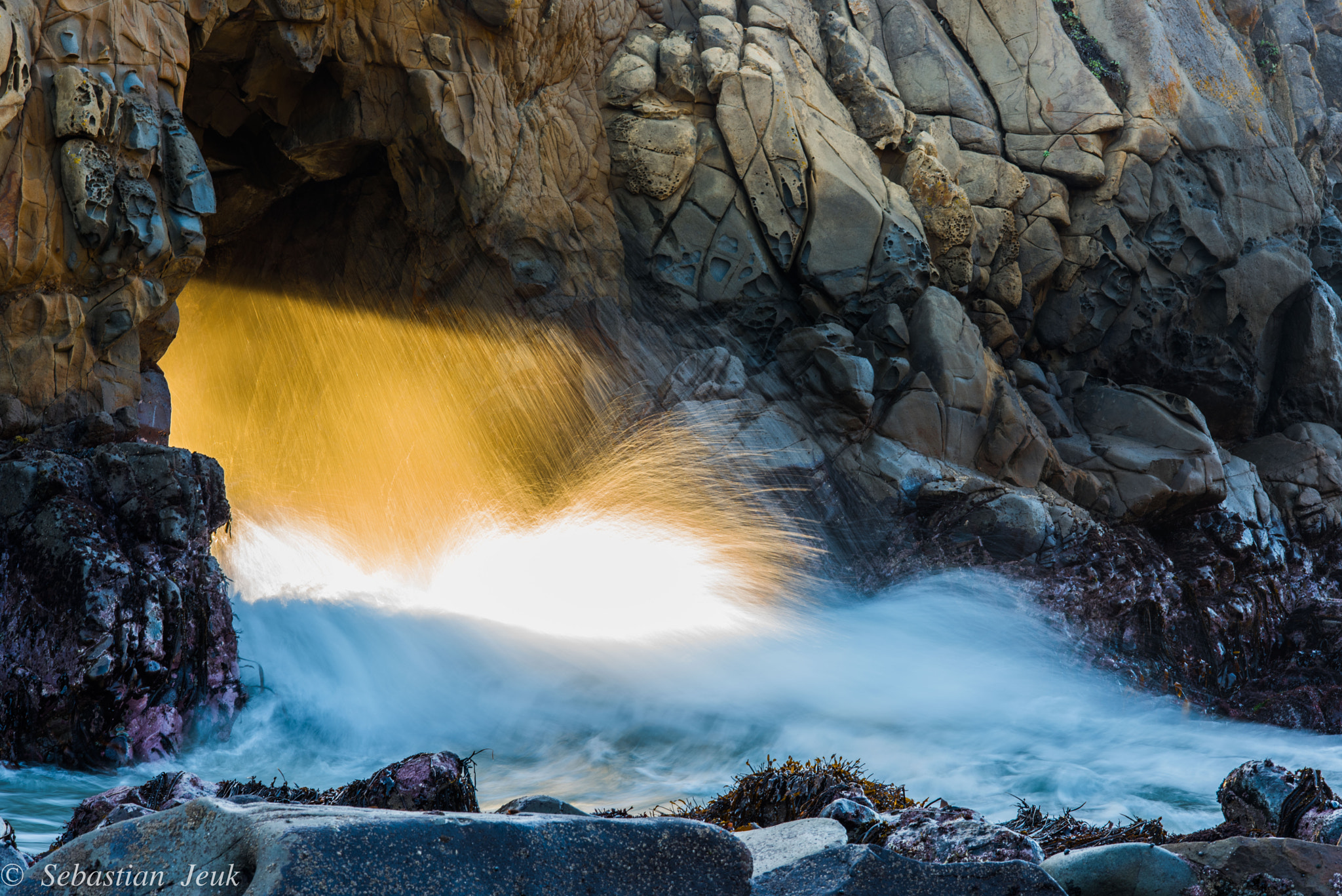 ZEISS Milvus 100mm F2 Macro sample photo. Big sur january 2016 photography