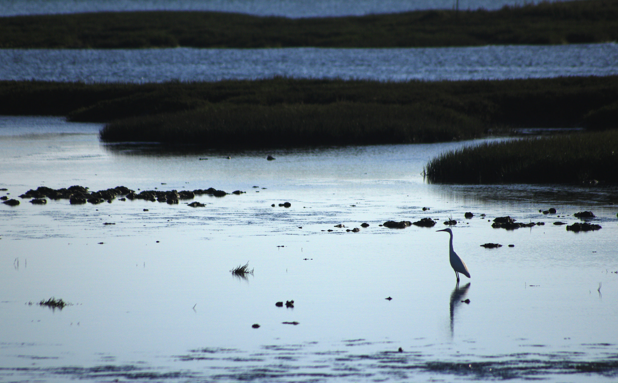 Sigma 70-300mm F4-5.6 APO DG Macro sample photo. Ria formosa photography