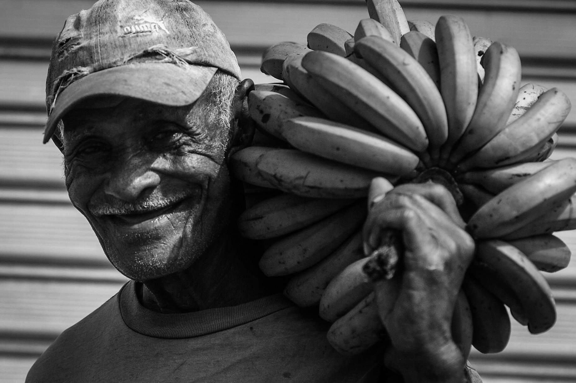 Nikon D2H sample photo. Cambures de tacarigua. photography