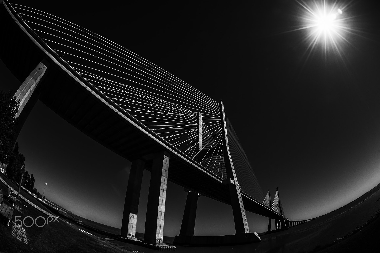 Nikon AF DX Fisheye-Nikkor 10.5mm F2.8G ED sample photo. Bridge 2 photography