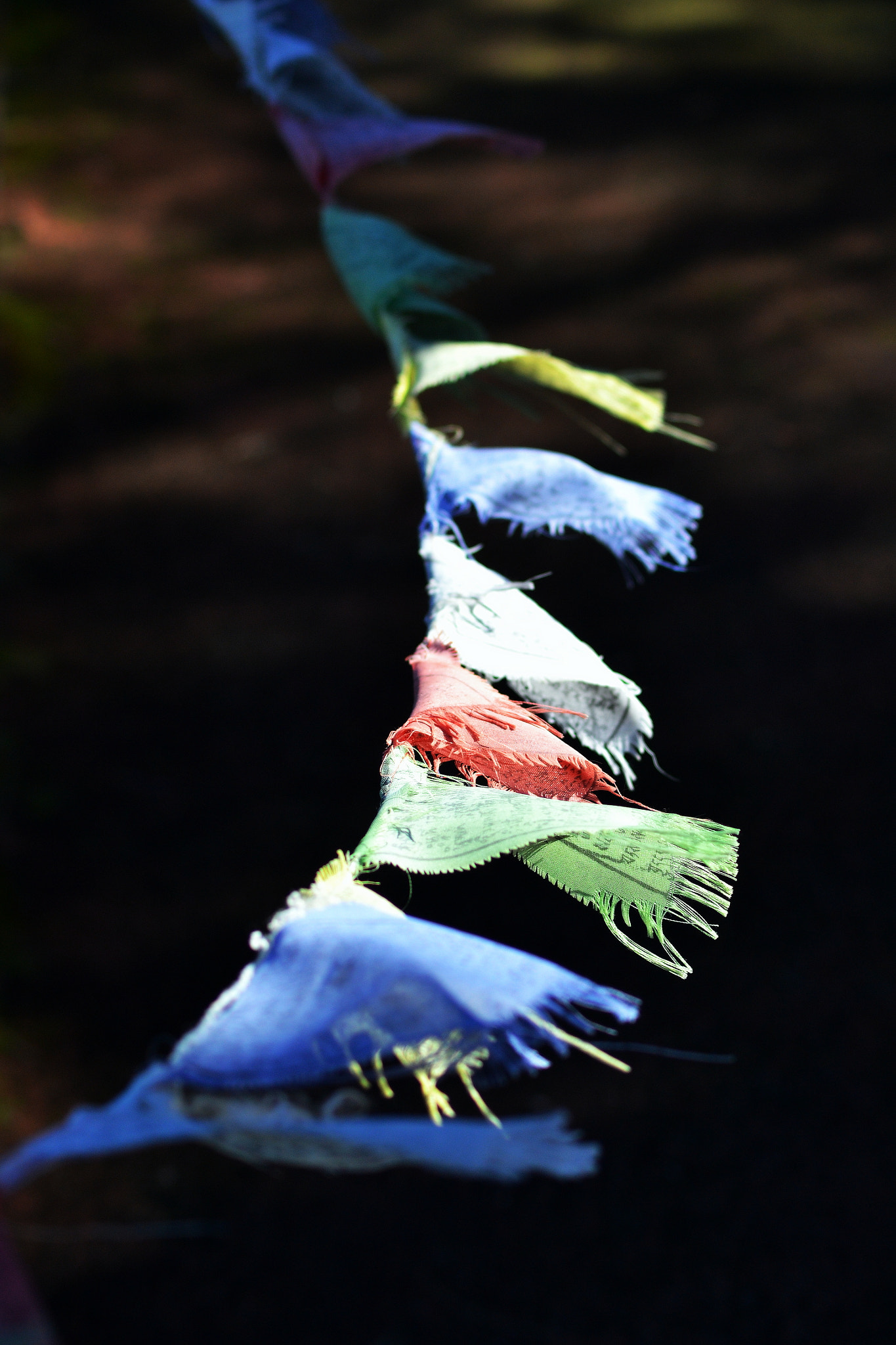 Nikon AF Nikkor 70-300mm F4-5.6G sample photo. Flags photography
