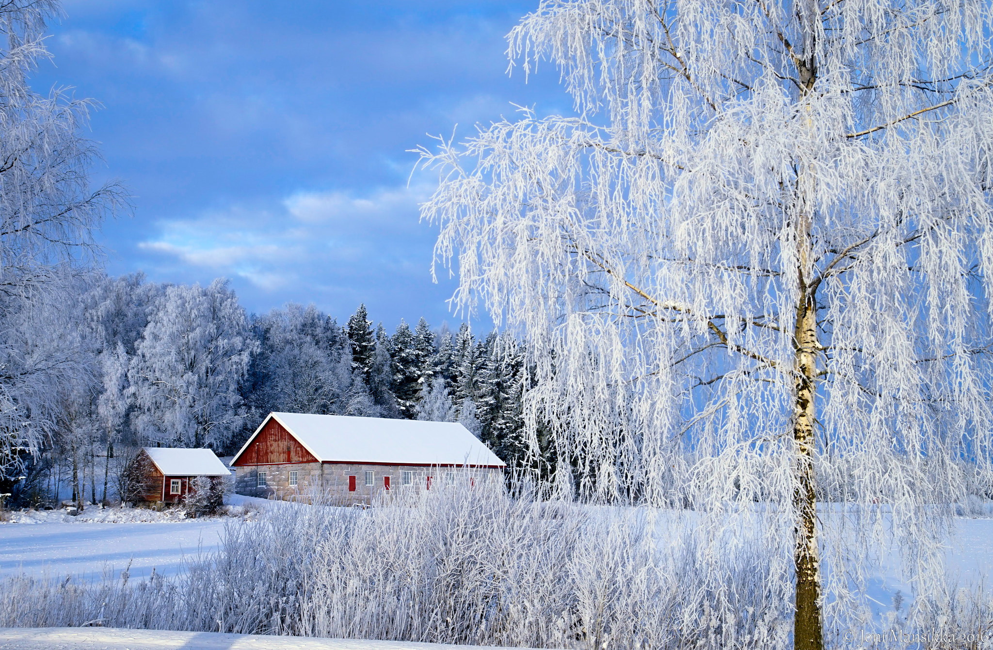 Sony a7 + 17-50mm F2.8 sample photo. Winter white photography