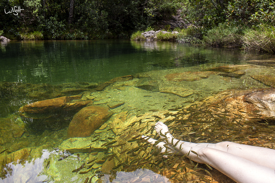 Canon EF-S 10-18mm F4.5–5.6 IS STM sample photo. Minas gerais-brasil photography