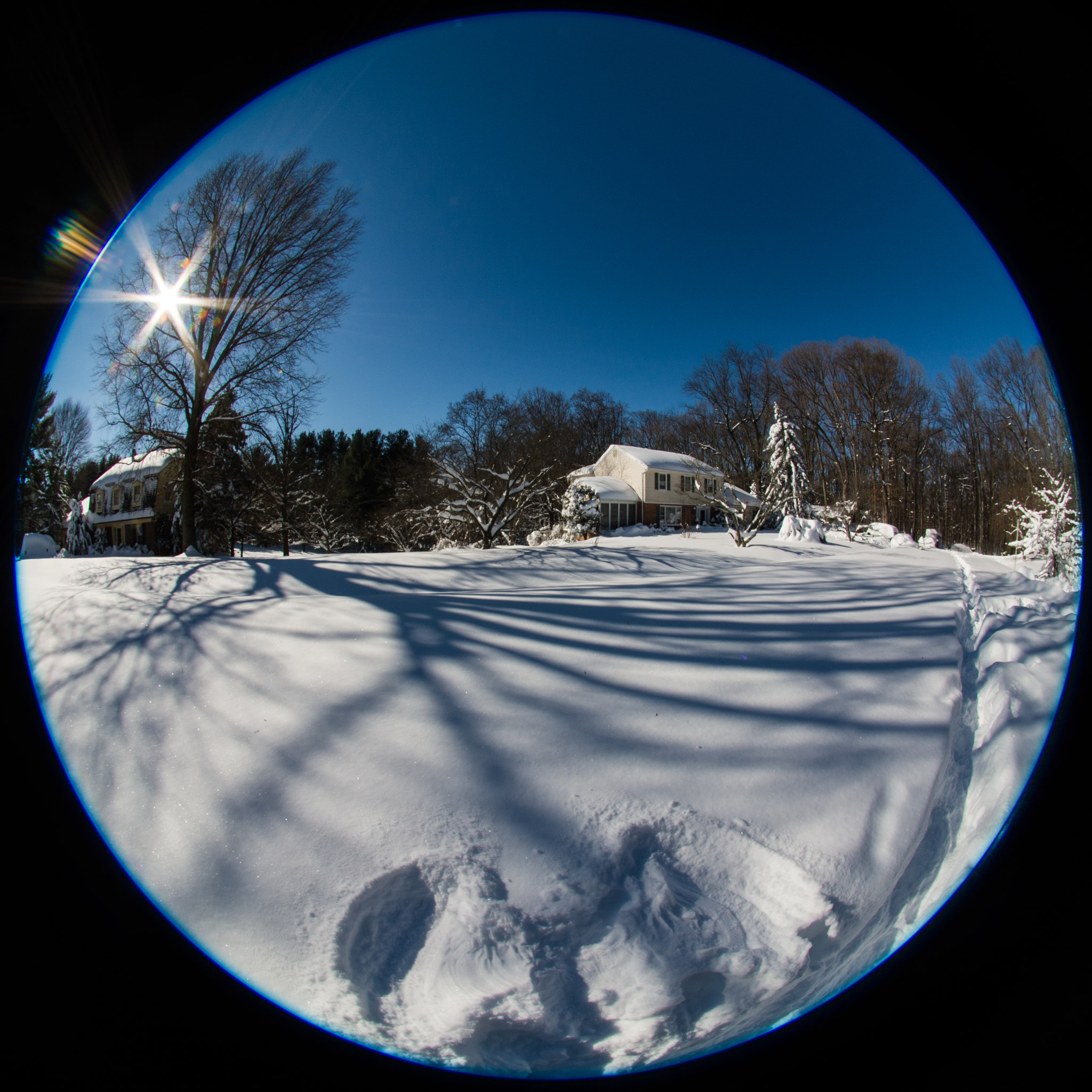 Sigma 4.5mm F2.8 EX DC HSM Circular Fisheye sample photo. Snow angel photography