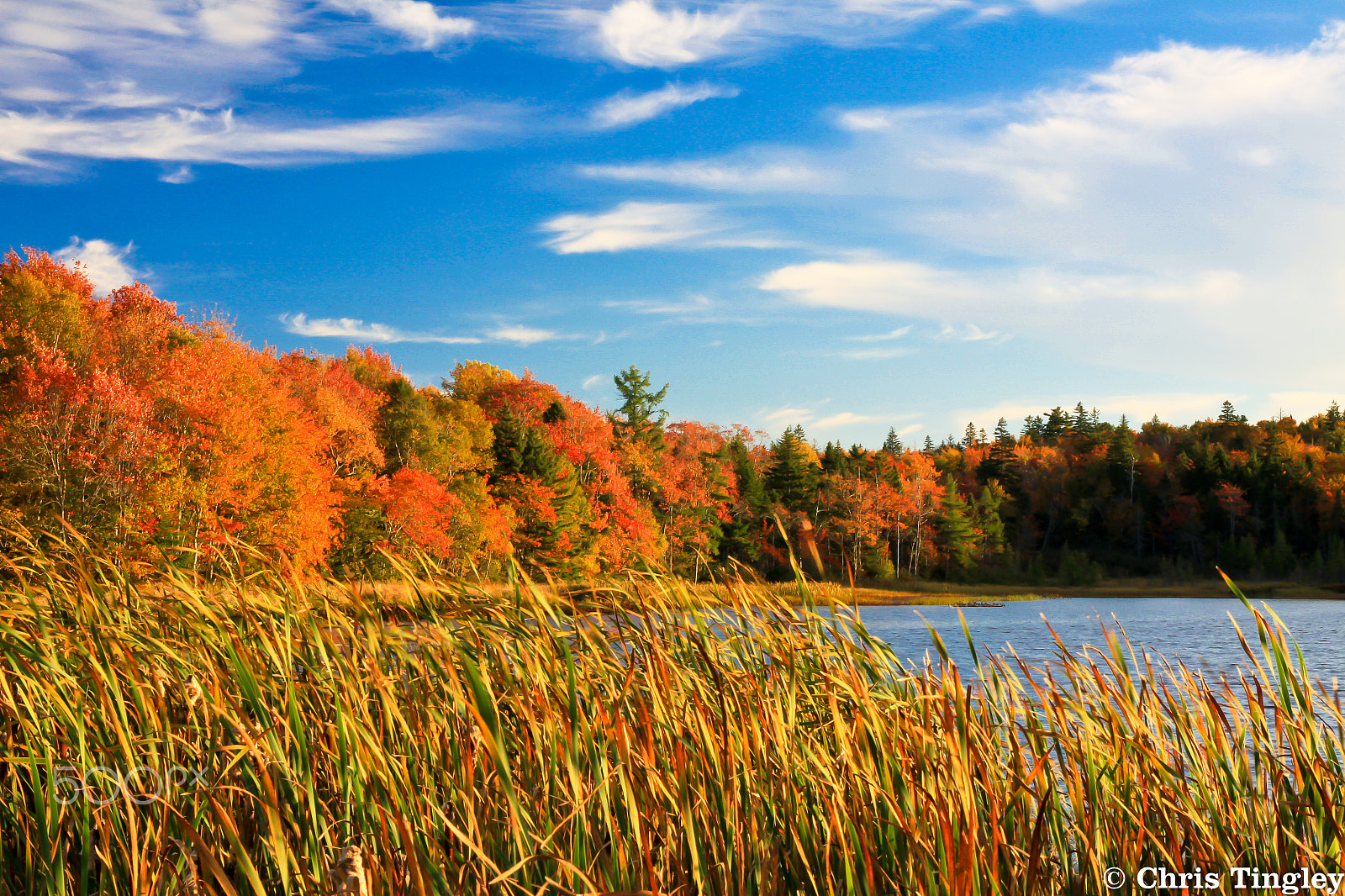 Sigma 17-70mm F2.8-4 DC Macro OS HSM sample photo. Autumn landscape photography
