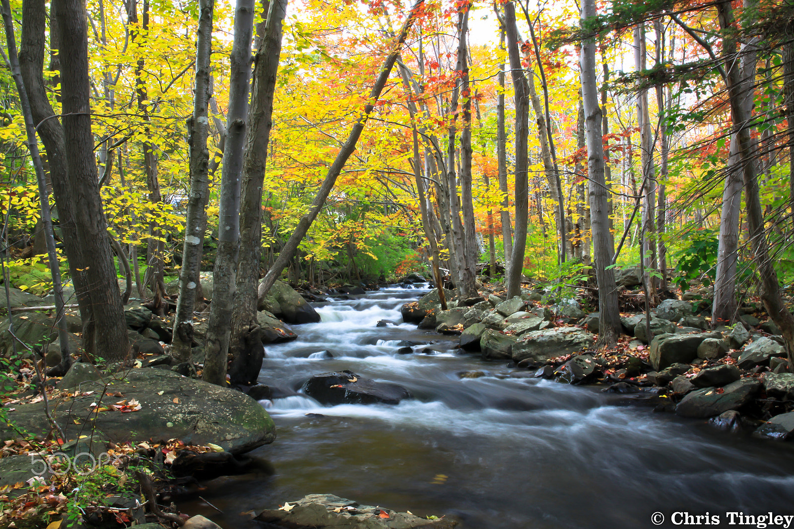 Sigma 17-70mm F2.8-4 DC Macro OS HSM sample photo. River in autumn photography