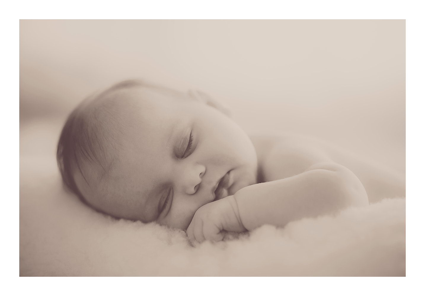 Sony a7R II sample photo. Sleeping beauty.. photography