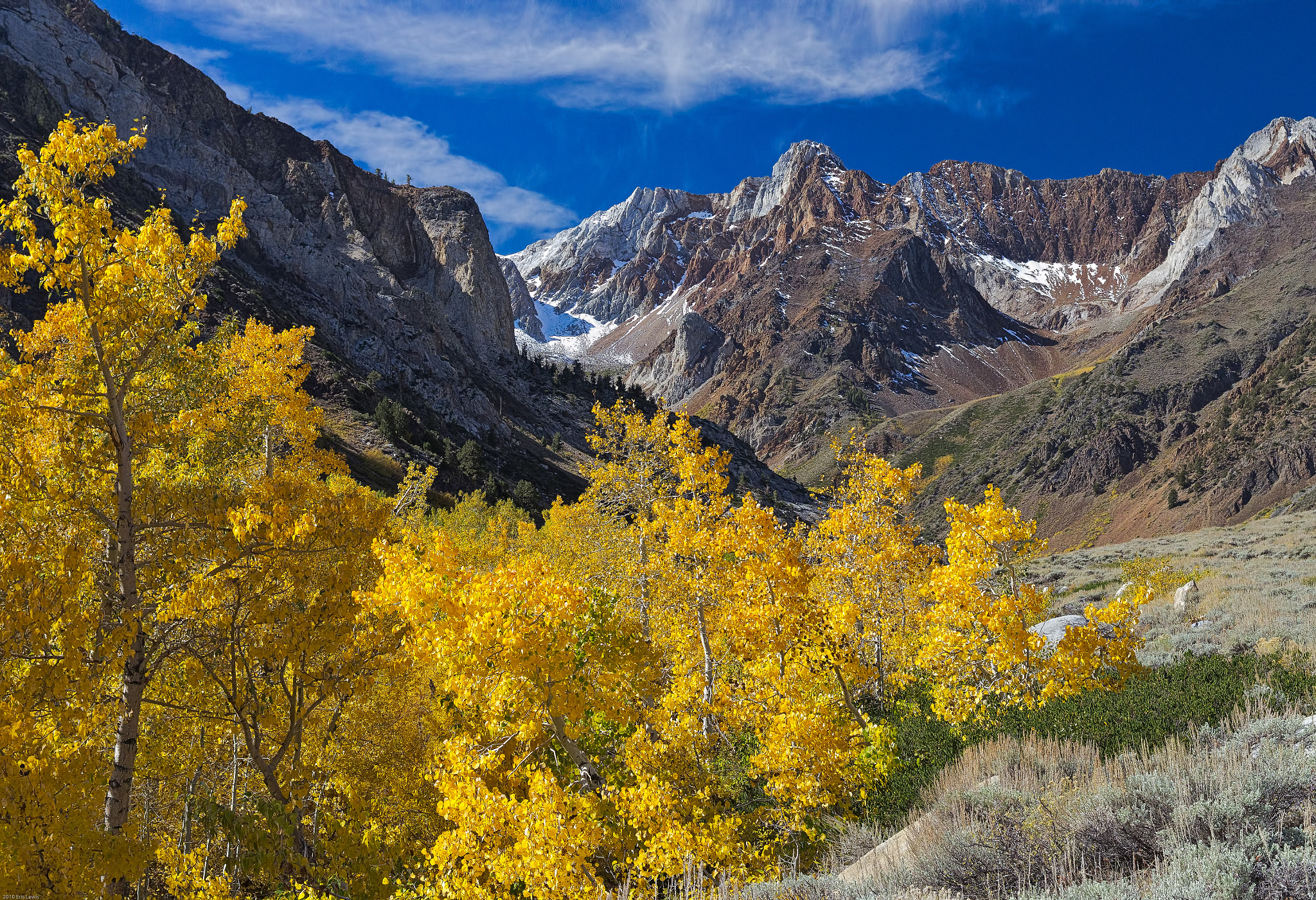 Pentax K-5 + Pentax smc DA 40mm F2.8 Limited sample photo. Fall aspens in mcgee cr. canyon photography