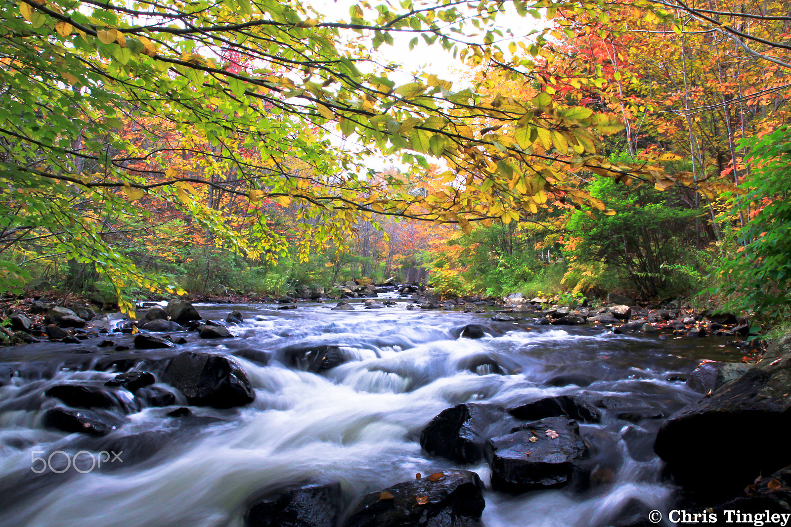 Sigma 17-70mm F2.8-4 DC Macro OS HSM sample photo. River in autumn photography