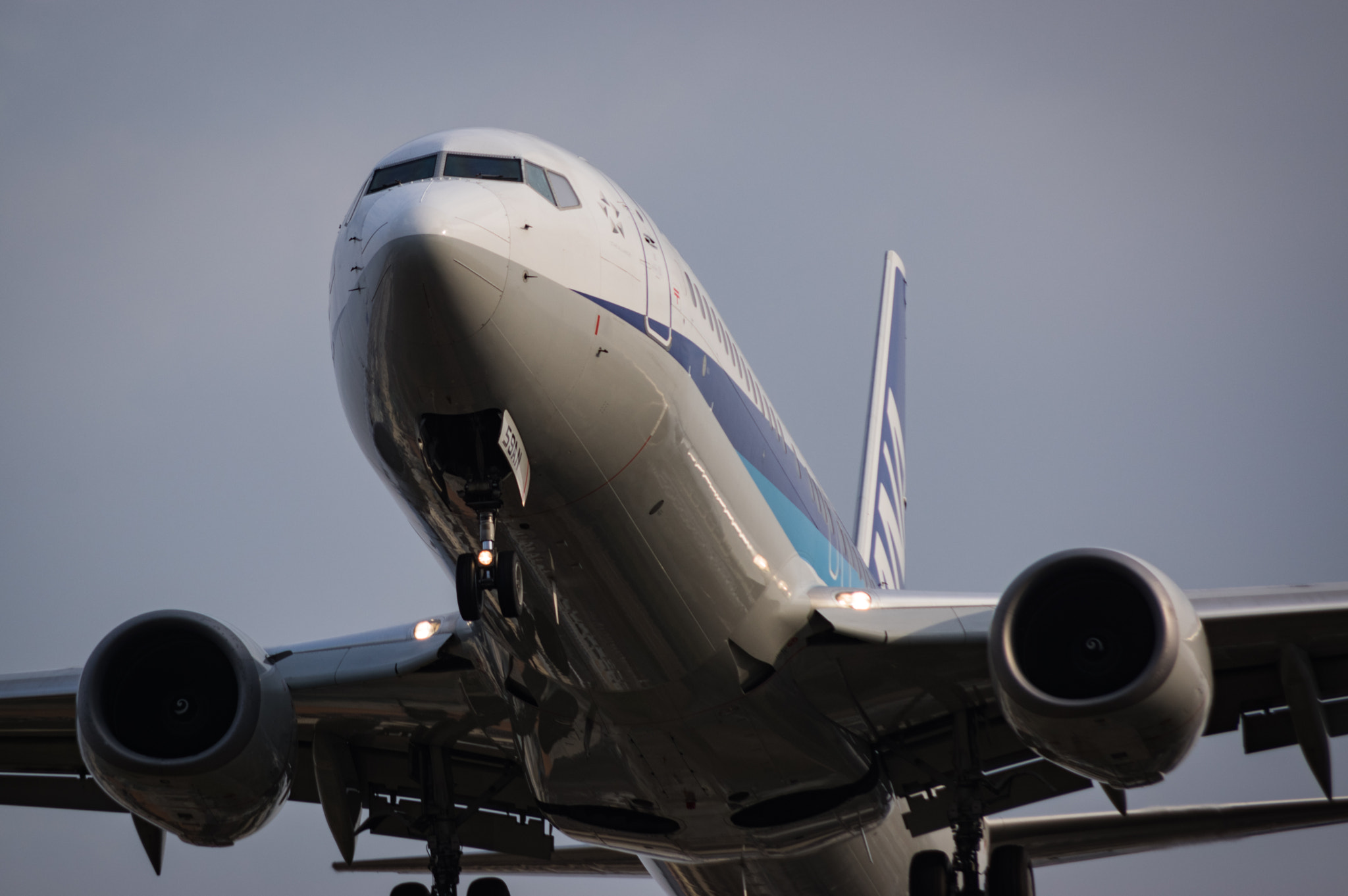 Pentax smc DA 55-300mm F4.0-5.8 ED sample photo. Ana b787 photography