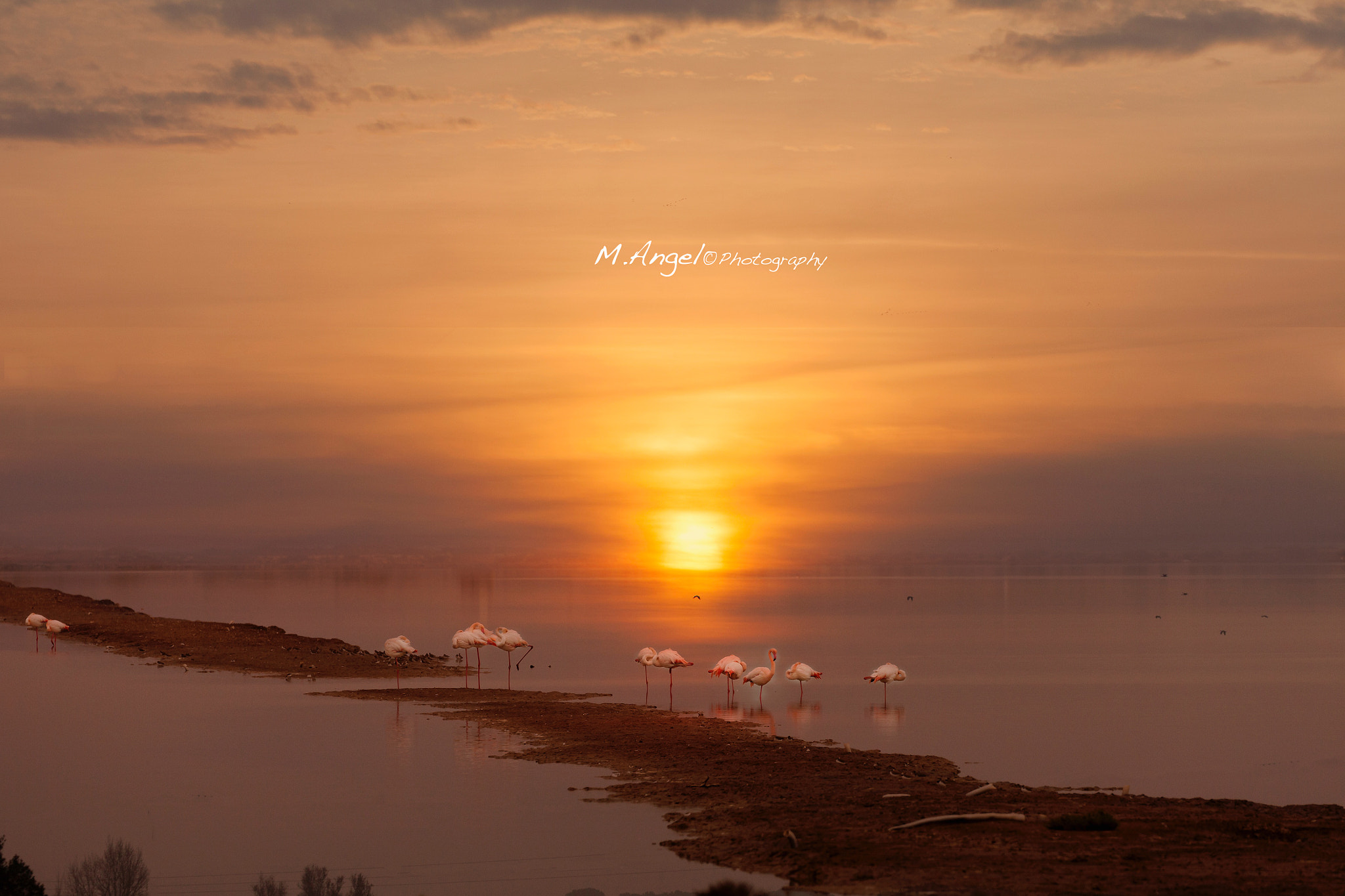 Canon EF 100-400mm F4.5-5.6L IS II USM sample photo. Amaneciendo photography