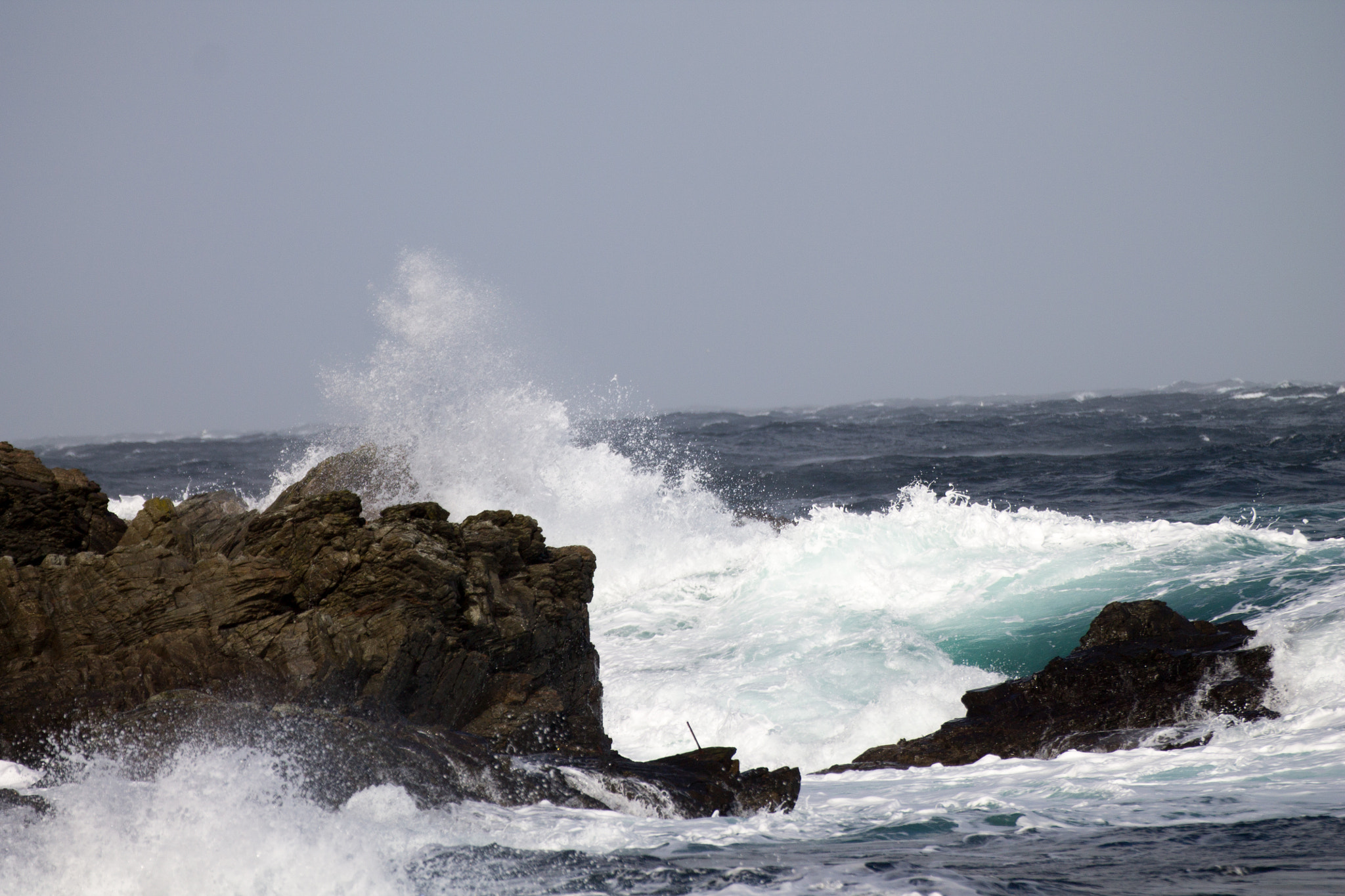 Tamron SP 35mm F1.8 Di VC USD sample photo. Mother nature photography