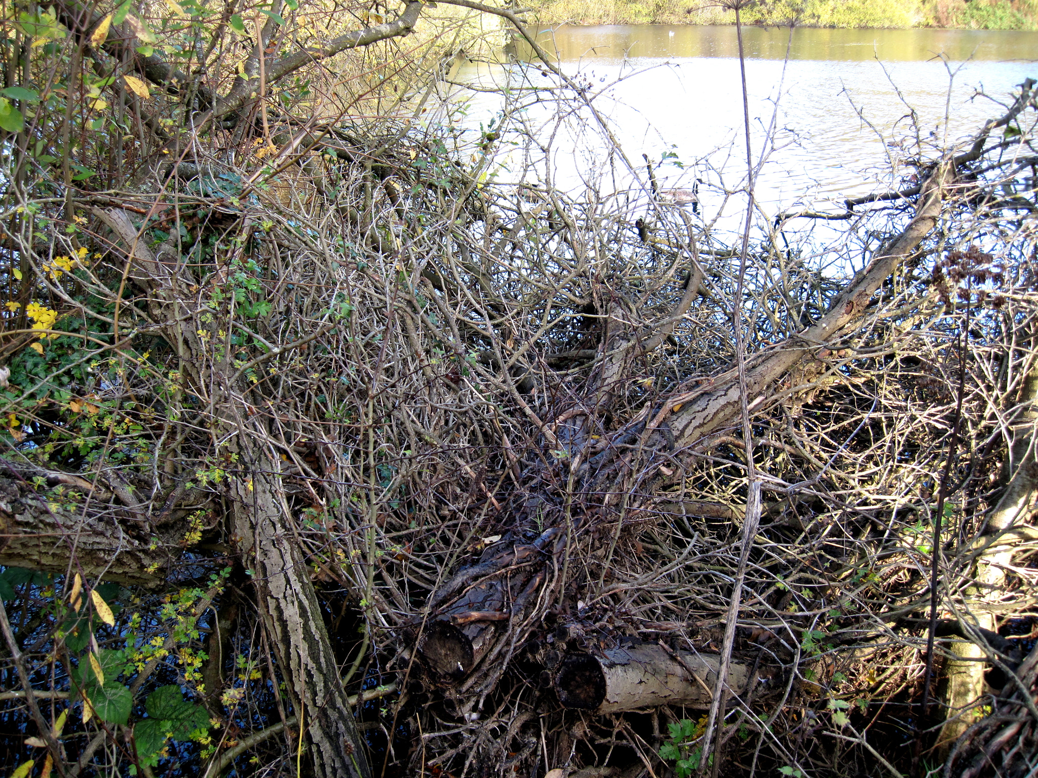 Canon PowerShot SD990 IS (Digital IXUS 980 IS / IXY Digital 3000 IS) sample photo. The roc's nest photography