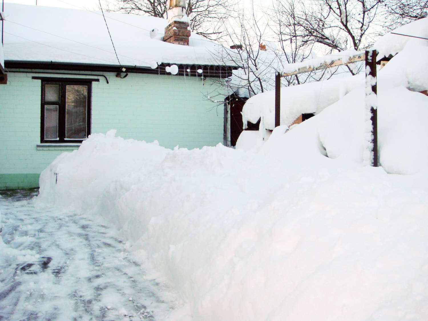 Sony DSC-T100 sample photo. Snowy yard photography