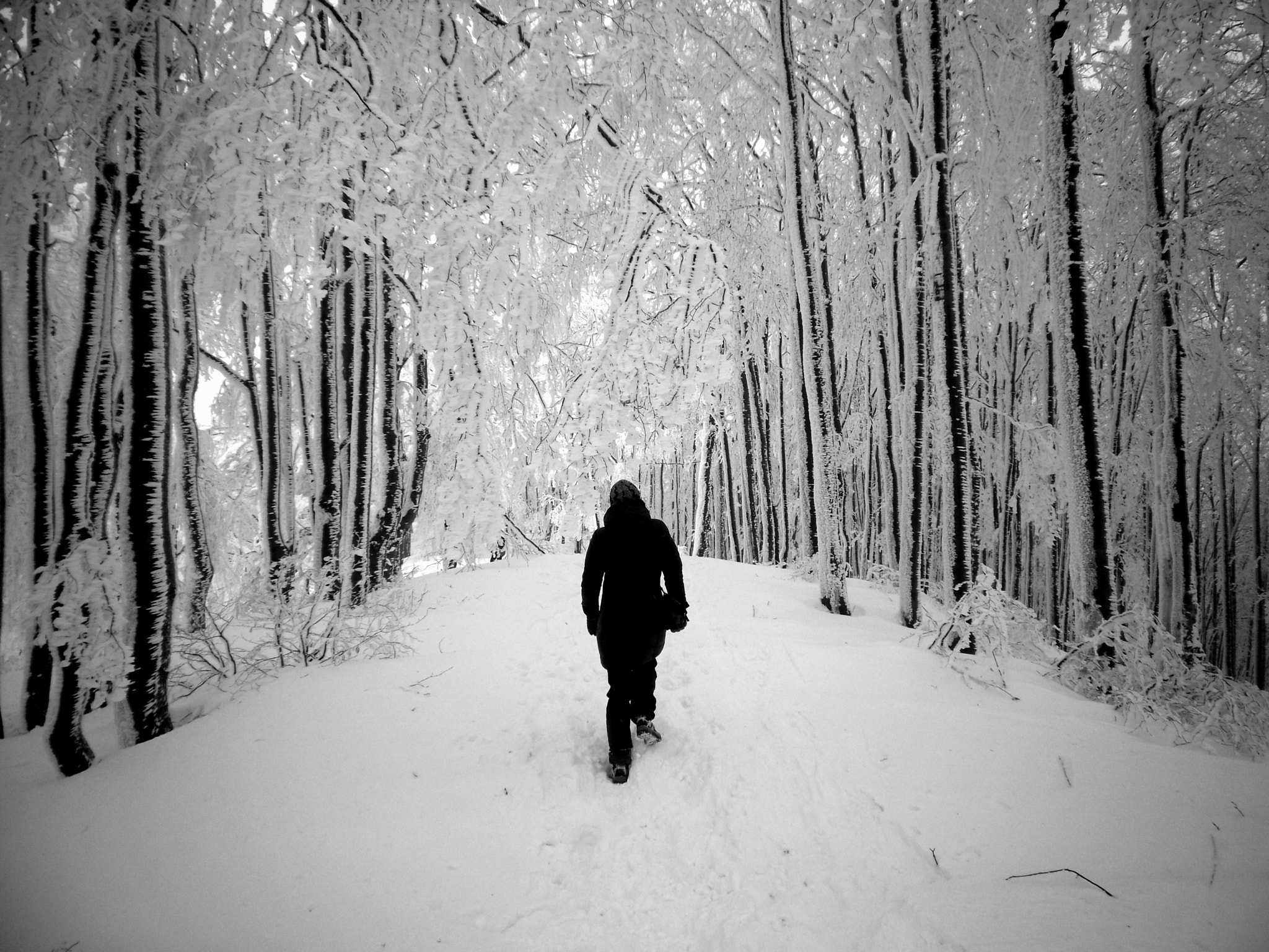 Samsung PL80/VLUU PL80/ SL630/ PL81 sample photo. Winter exploration photography