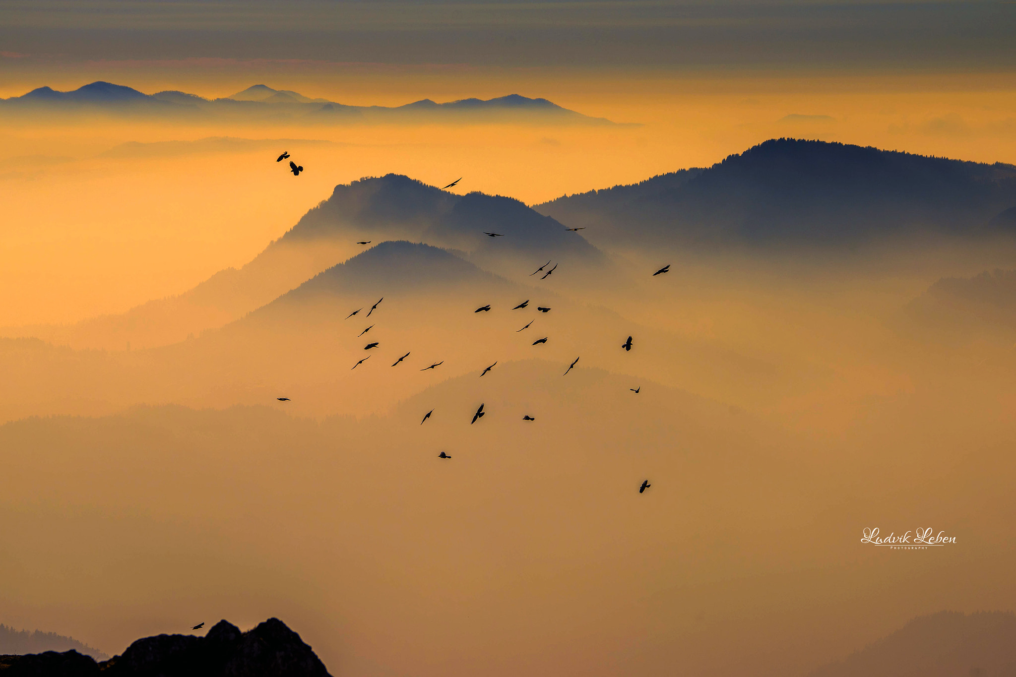 Sony 70-300mm F4.5-5.6 G SSM sample photo. Free as a bird photography