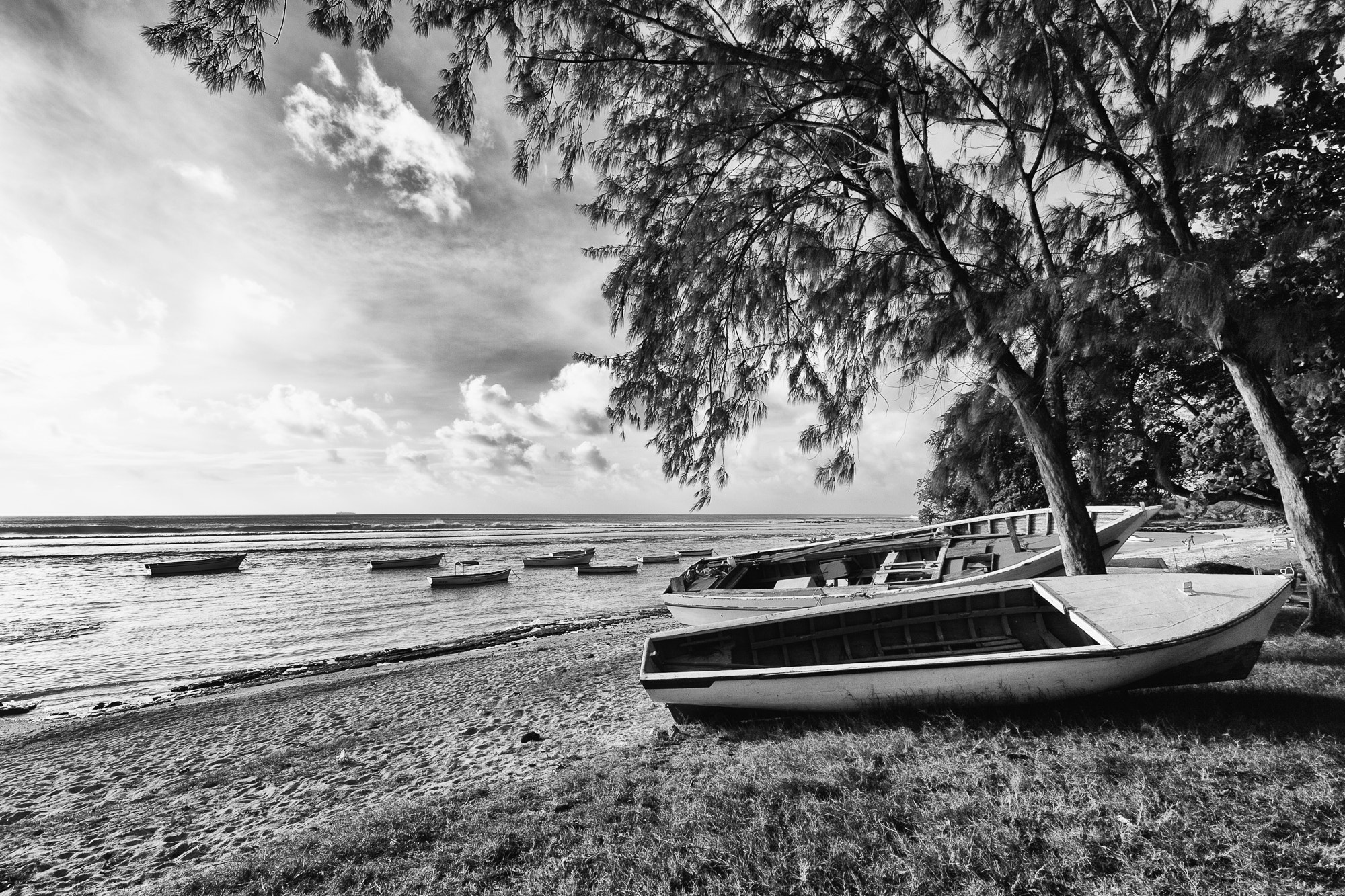 Fisher Boats, Ile Maurice, 3709