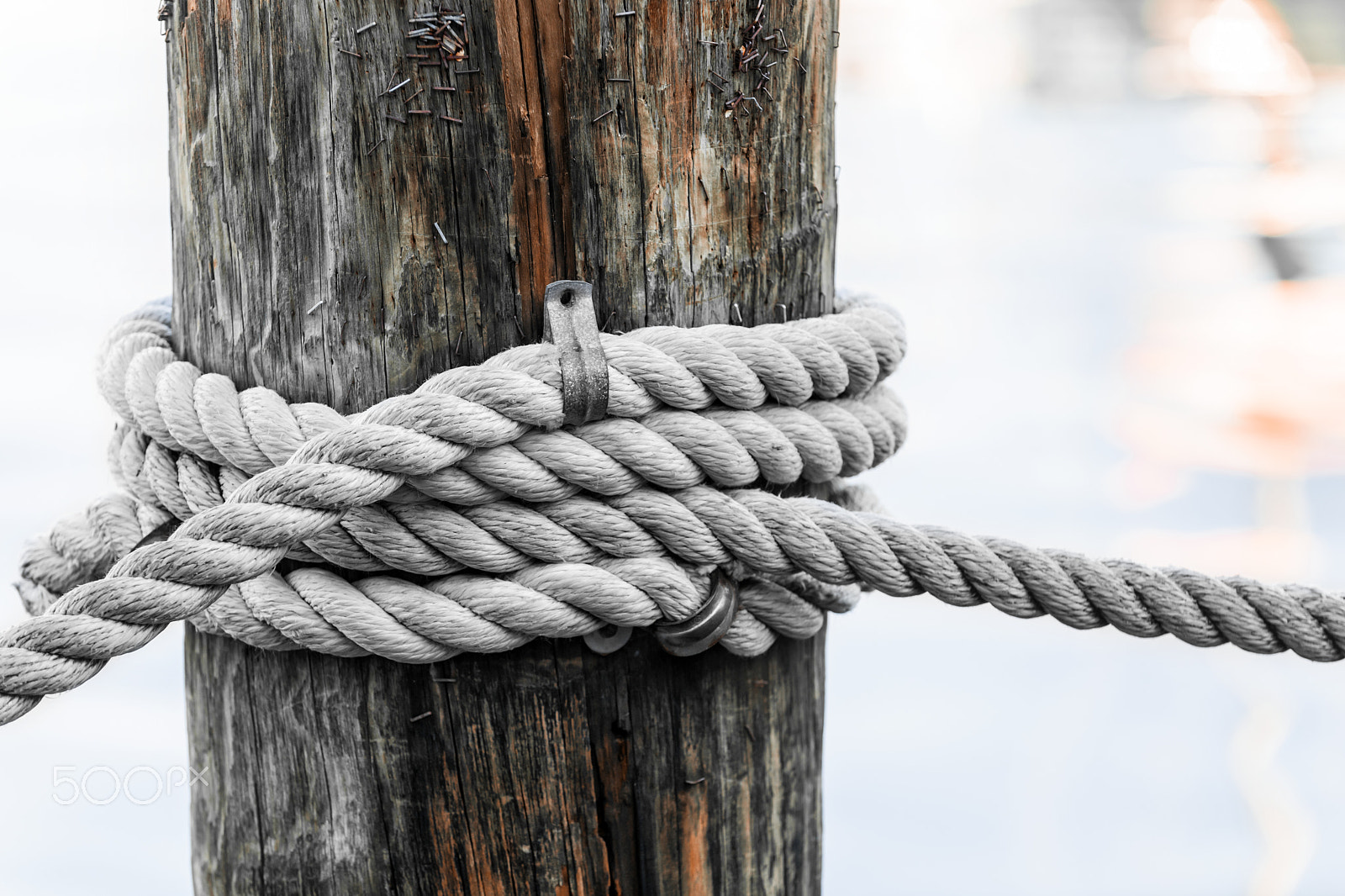 Nikon D3X sample photo. Rope fence fragment photography