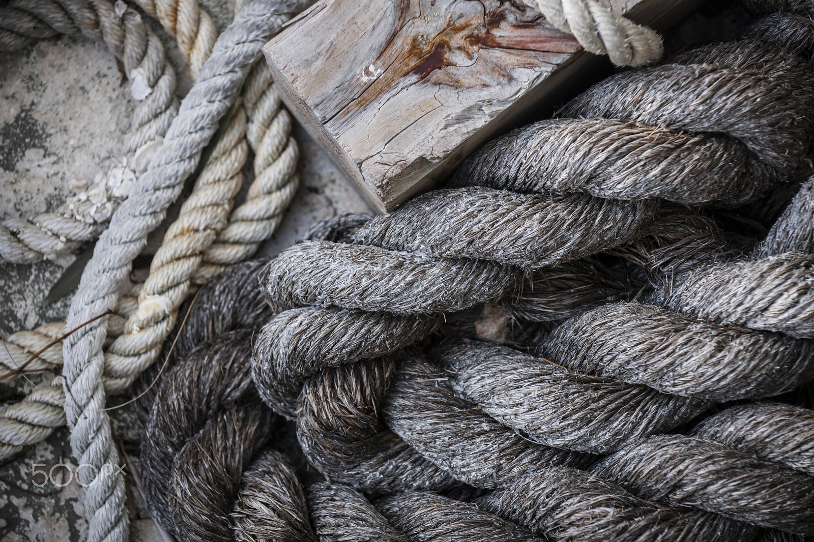 Nikon D3X sample photo. Old ropes on dock photography