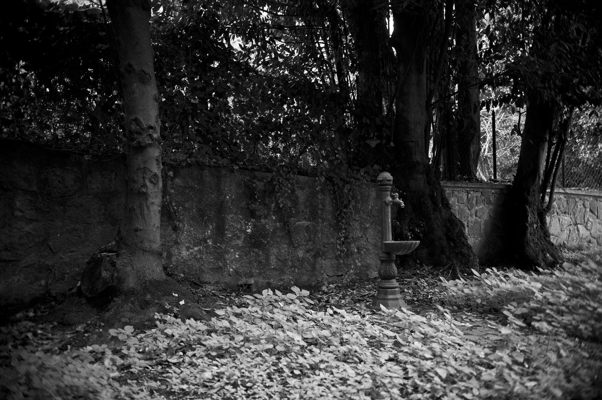 Nikon D3 sample photo. A little prayer photography