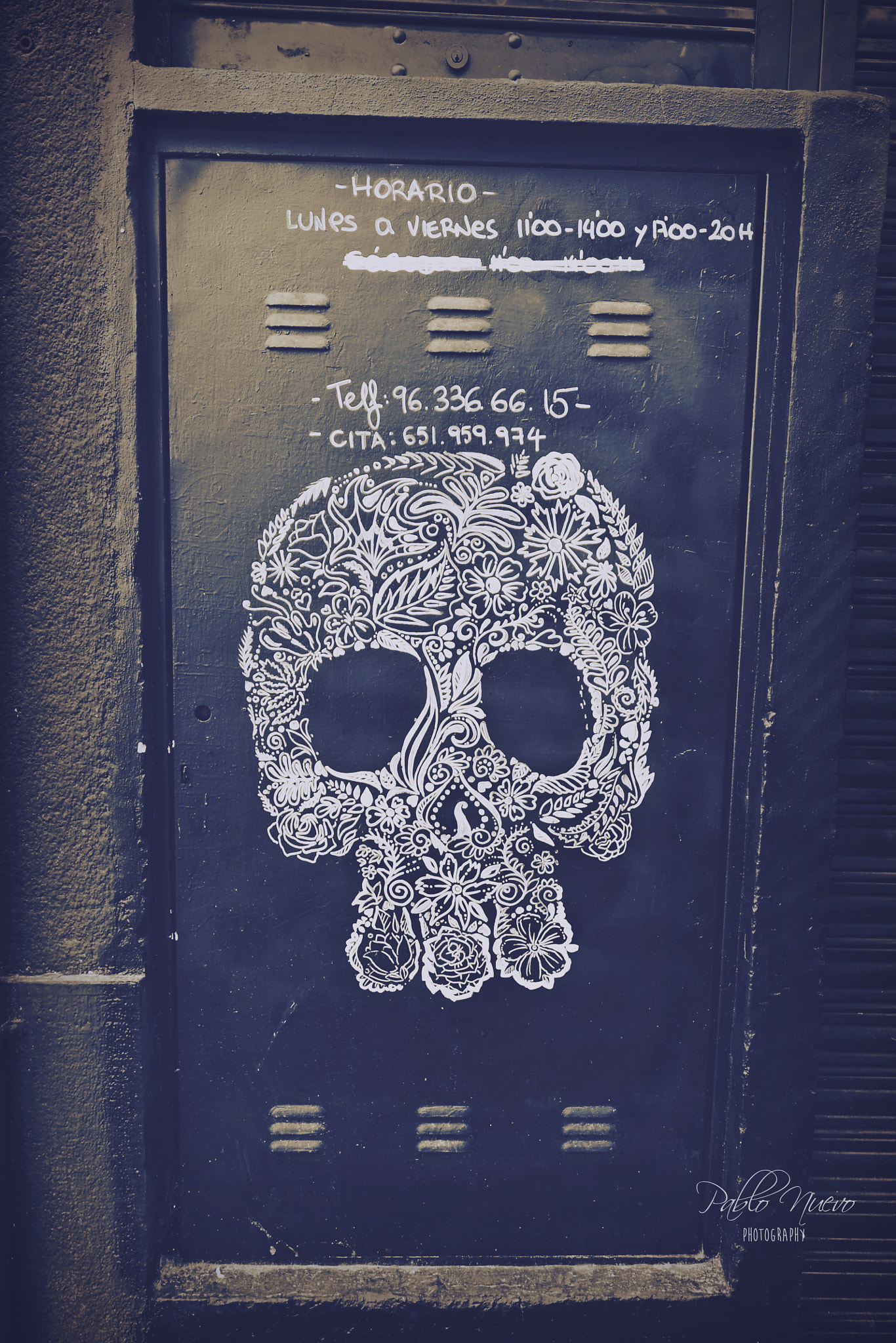 Sony Alpha DSLR-A580 + 20mm F2.8 sample photo. Skull photography