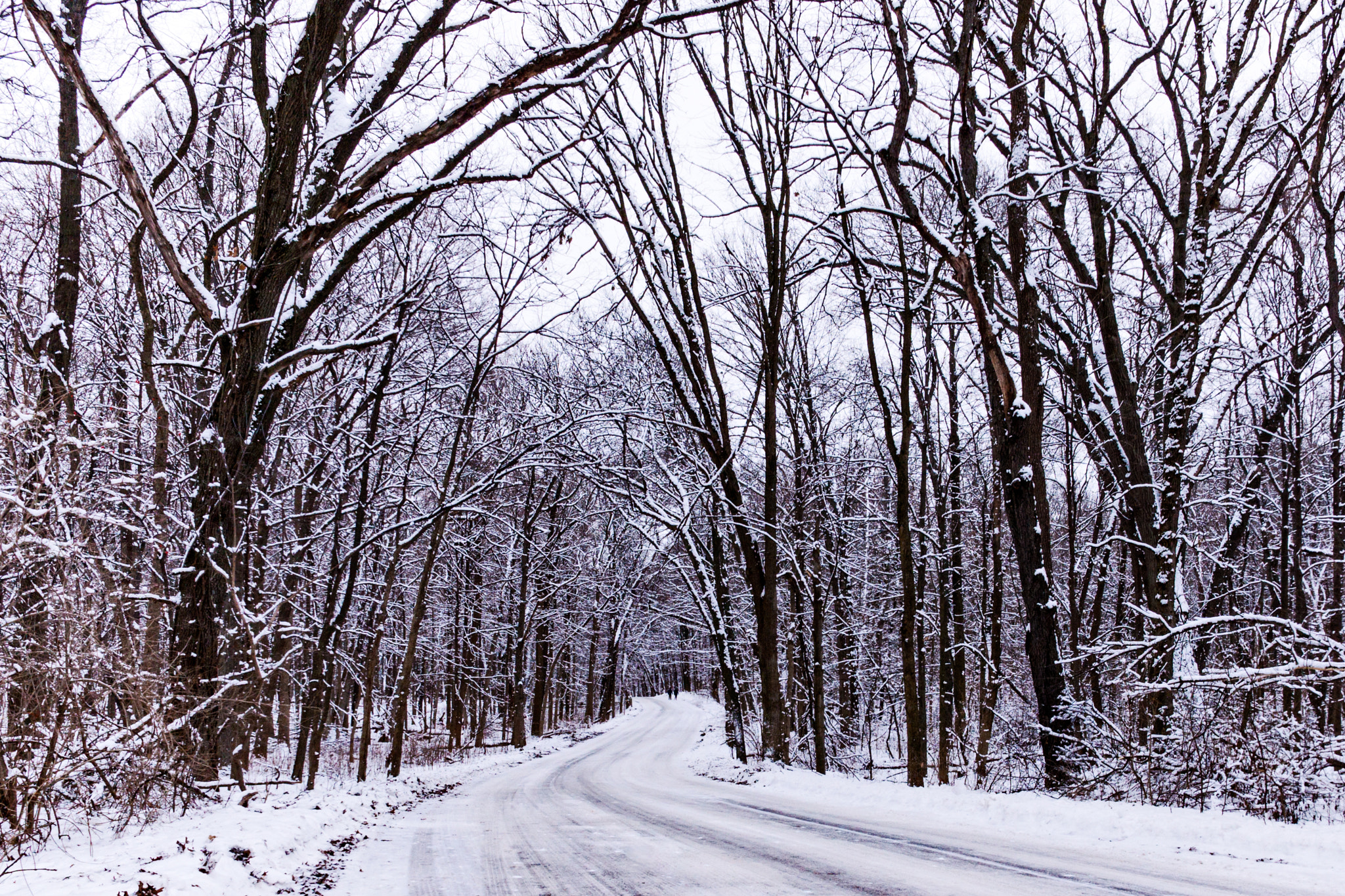 ZEISS Touit 12mm F2.8 sample photo. (27) winter in wisconsin photography