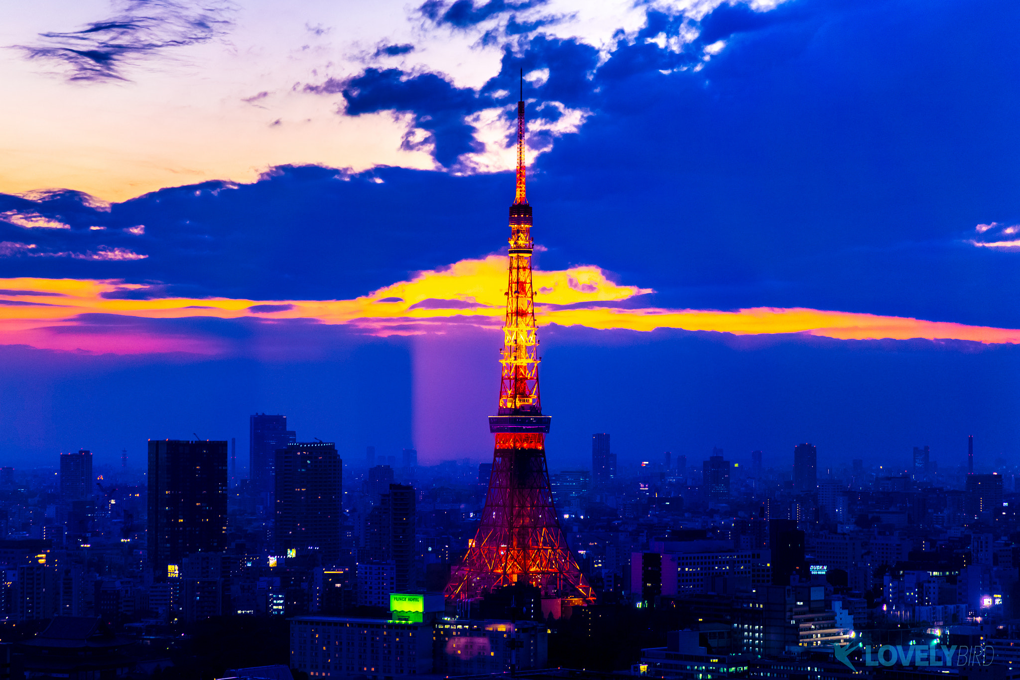 FE 24-71mm F2.8-8 ZA sample photo. Tokyo tower photography