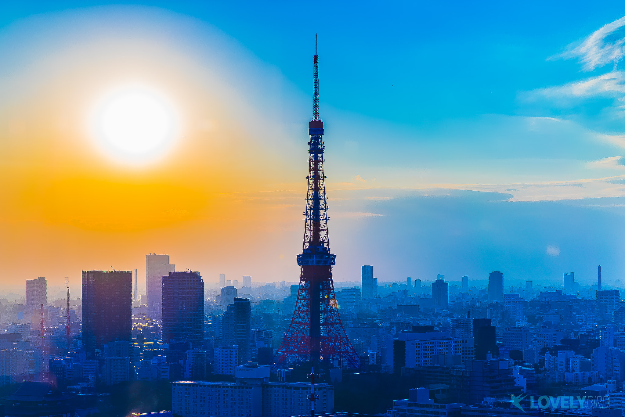 FE 24-71mm F2.8-8 ZA sample photo. Tokyo tower photography