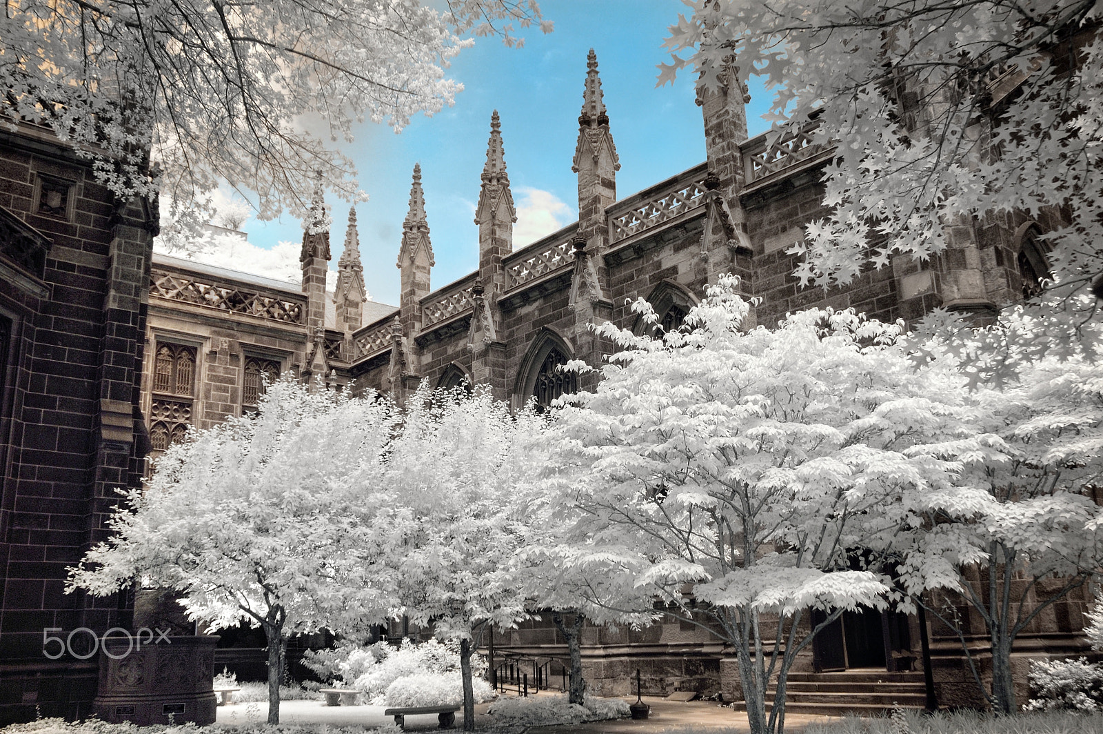 Nikon D70s sample photo. 5th avenue church, ir photography