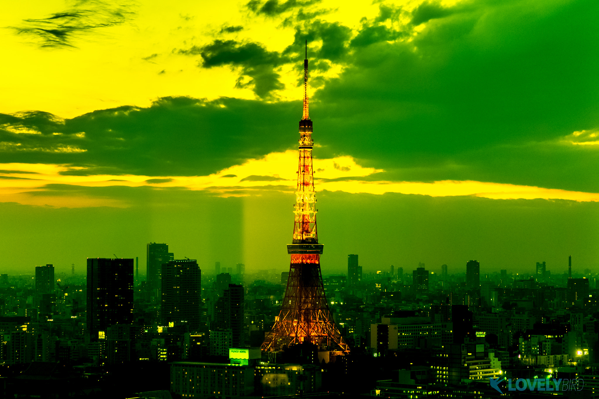 FE 24-71mm F2.8-8 ZA sample photo. Tokyo tower photography