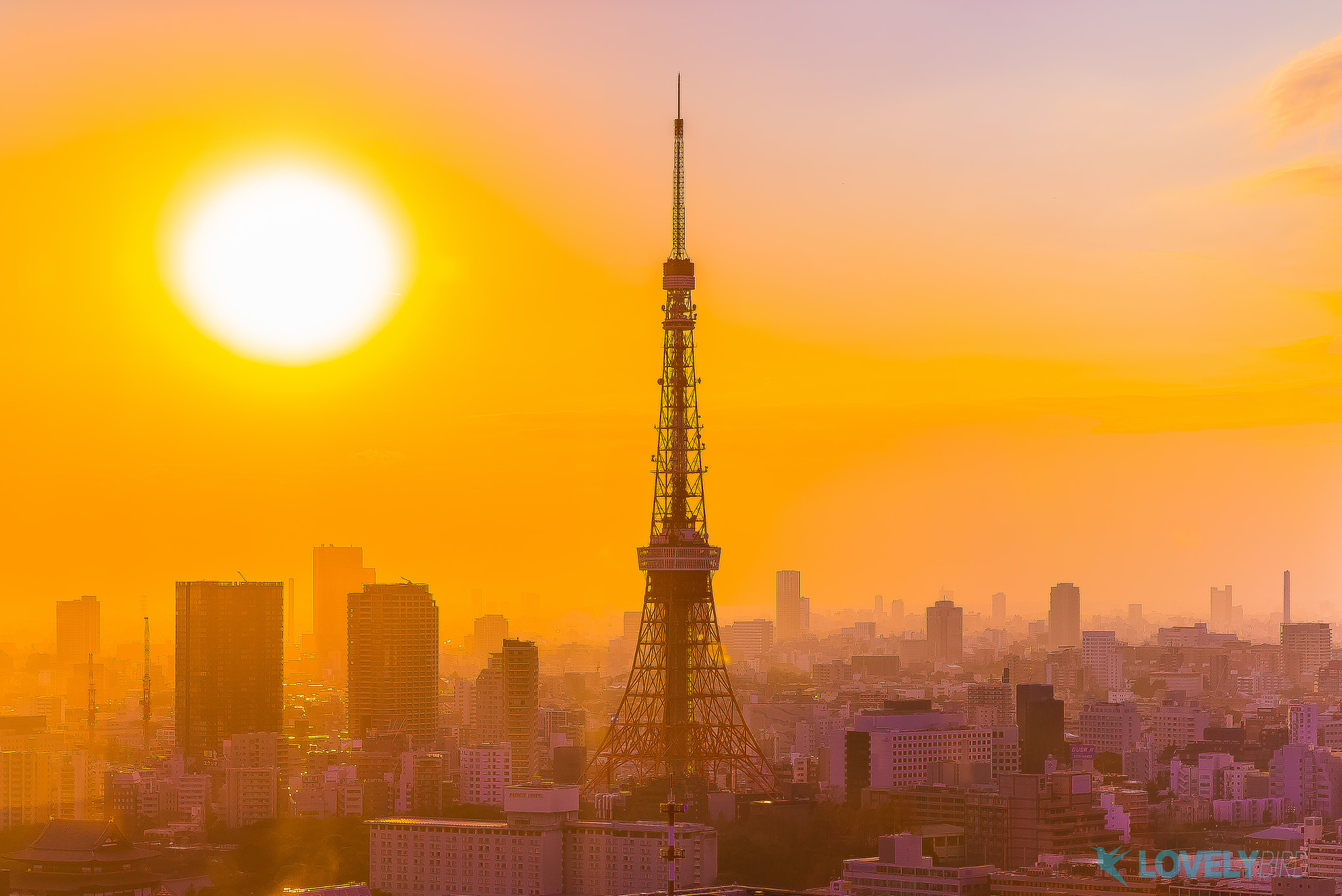 FE 24-71mm F2.8-8 ZA sample photo. Tokyo tower photography