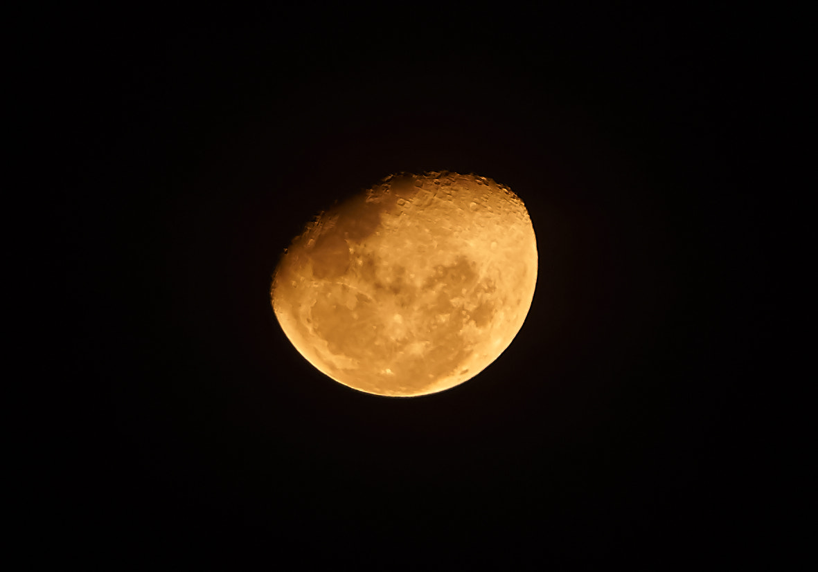 Sony E 18-200mm F3.5-6.3 OSS LE sample photo. Moony shot photography