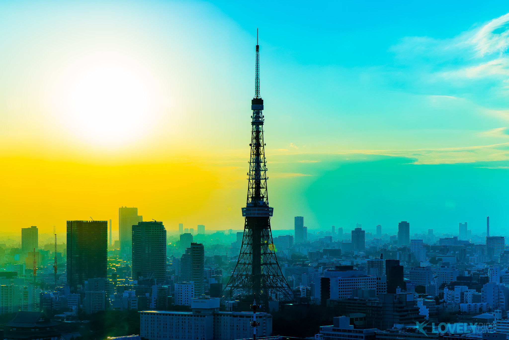 FE 24-71mm F2.8-8 ZA sample photo. Tokyo tower photography