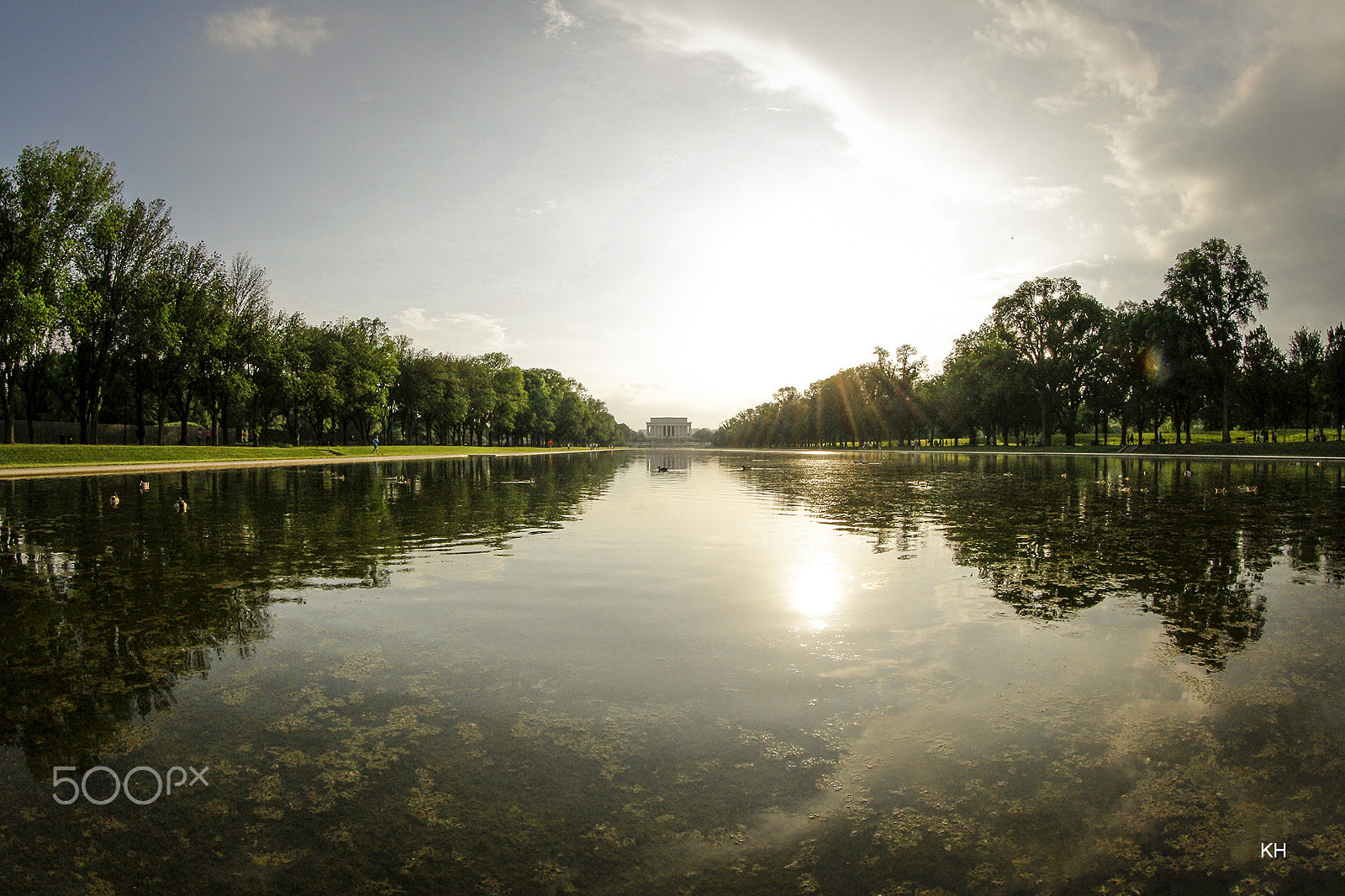 Canon EF 8-15mm F4L Fisheye USM sample photo. Washington photography