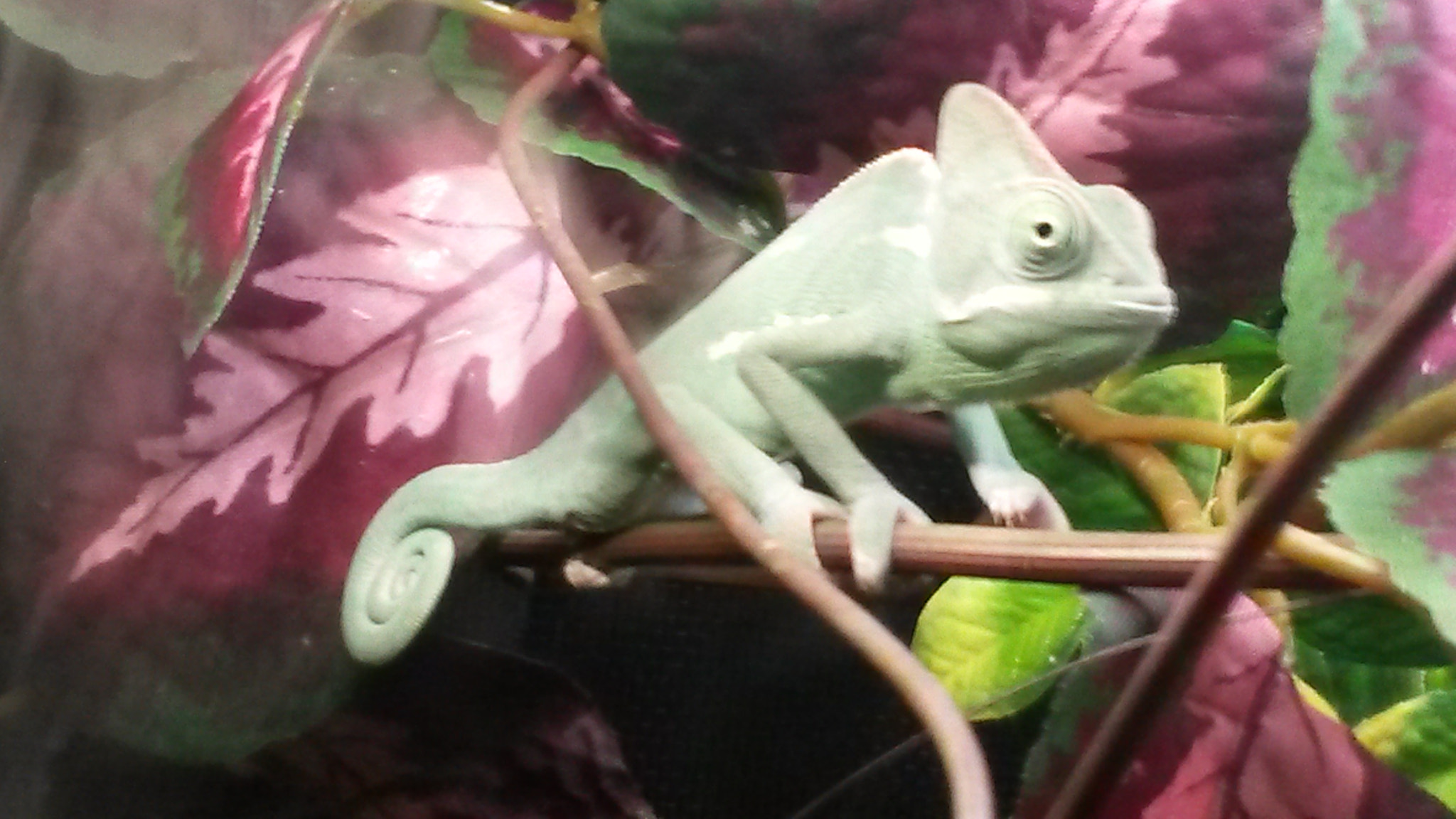 Samsung Galaxy S4 Active sample photo. Chillin' photography