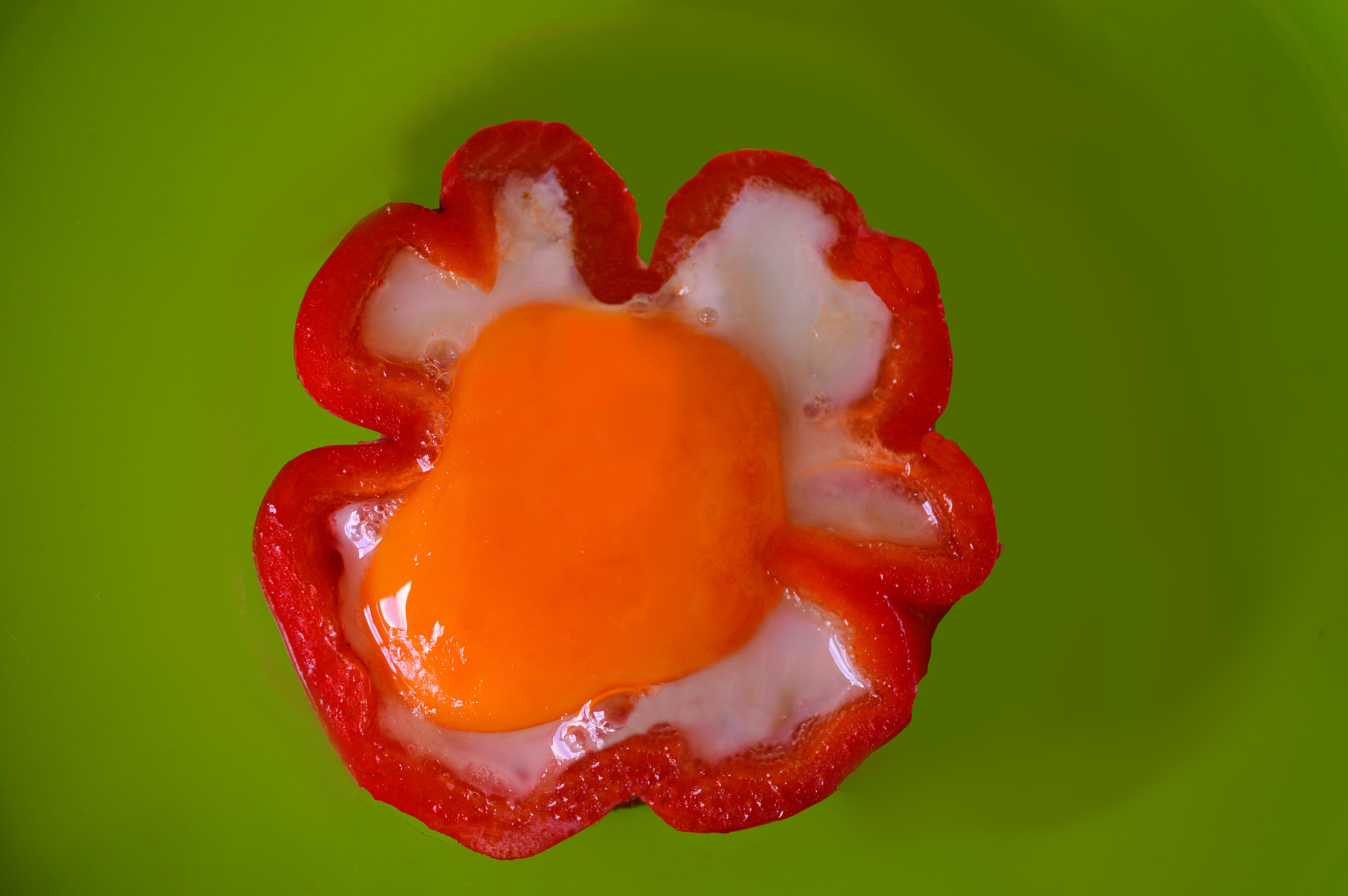 AF Zoom-Nikkor 35-70mm f/3.3-4.5 N sample photo. Egg photography