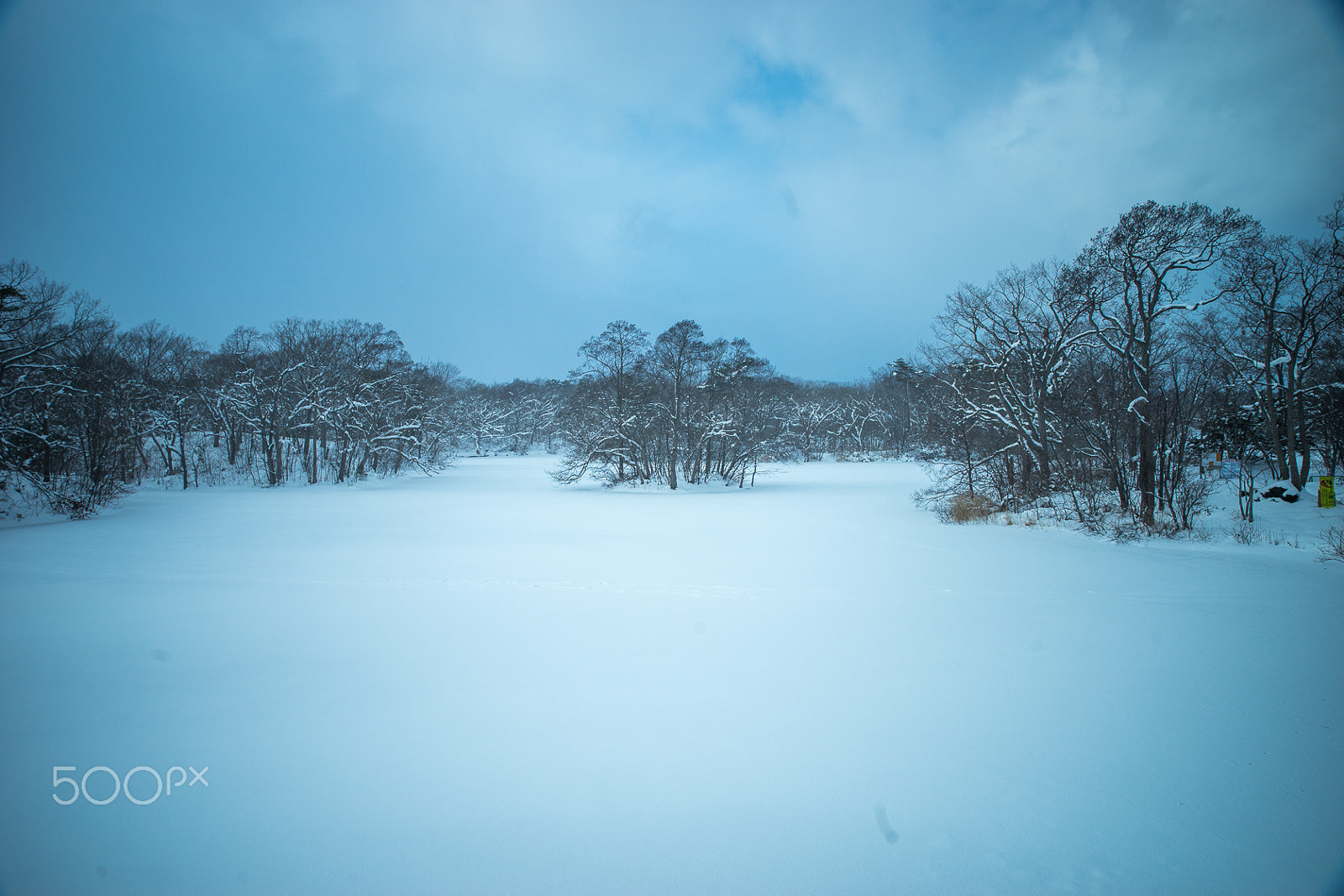 Canon EF 24-70mm F2.8L II USM sample photo. Hokkaido, japan - 4 photography