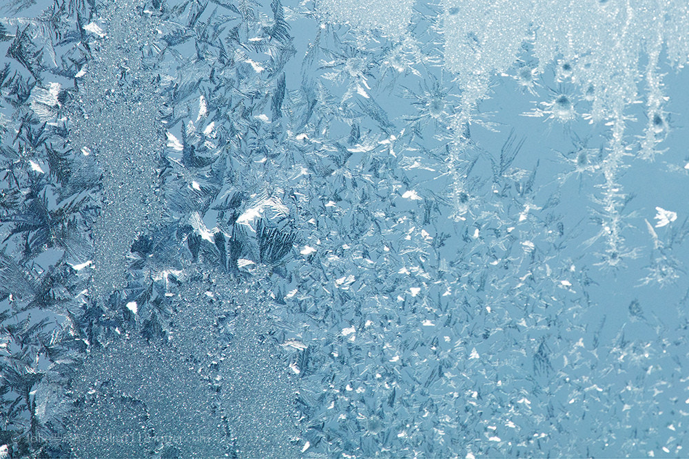 Canon EF 100-400mm F4.5-5.6L IS USM sample photo.  羽毛从雪平面挣脱 组成翅膀化成飞鸟 繁星从天空中降落 热闹了孤寂的寒冬 生如冰花蔓延绽放 飘落单单... photography